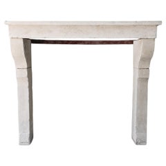 Antique rustic fireplace of french limestone, 19th century in country style
