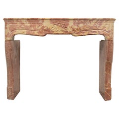 Antique French Fireplace in Bi-Color in Limestone