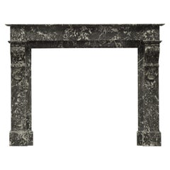 Antique French Fireplace in Saint Anne Marble