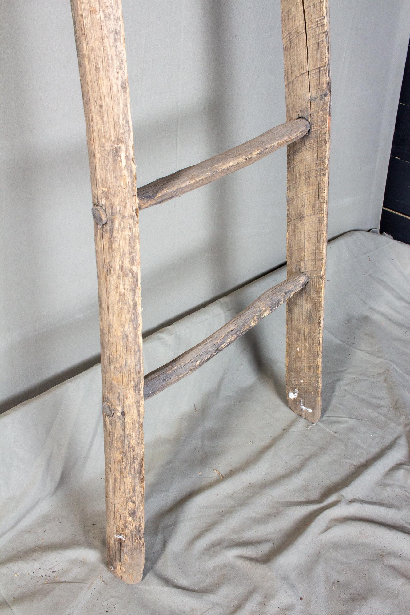 Early 20th Century Antique French Fruit Tree Harvest Ladder