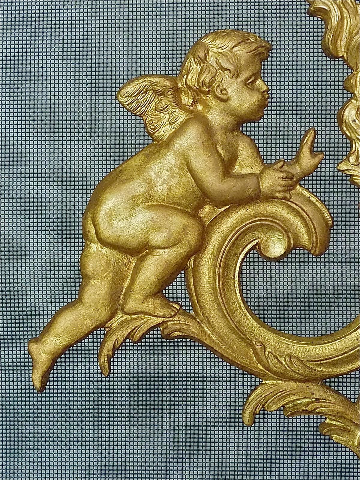 Antiker französischer vergoldeter Bronze-Kaminschirm im Louis-XV-Stil des 19. Jahrhunderts (Vergoldet) im Angebot