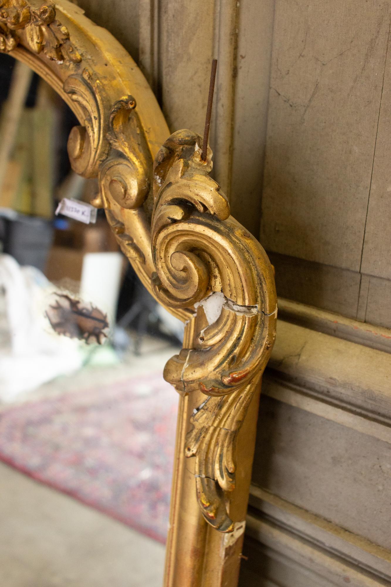 Plaster Antique Gilt Full-Length Mirror with Decorative Carvings and Shell Cartouche