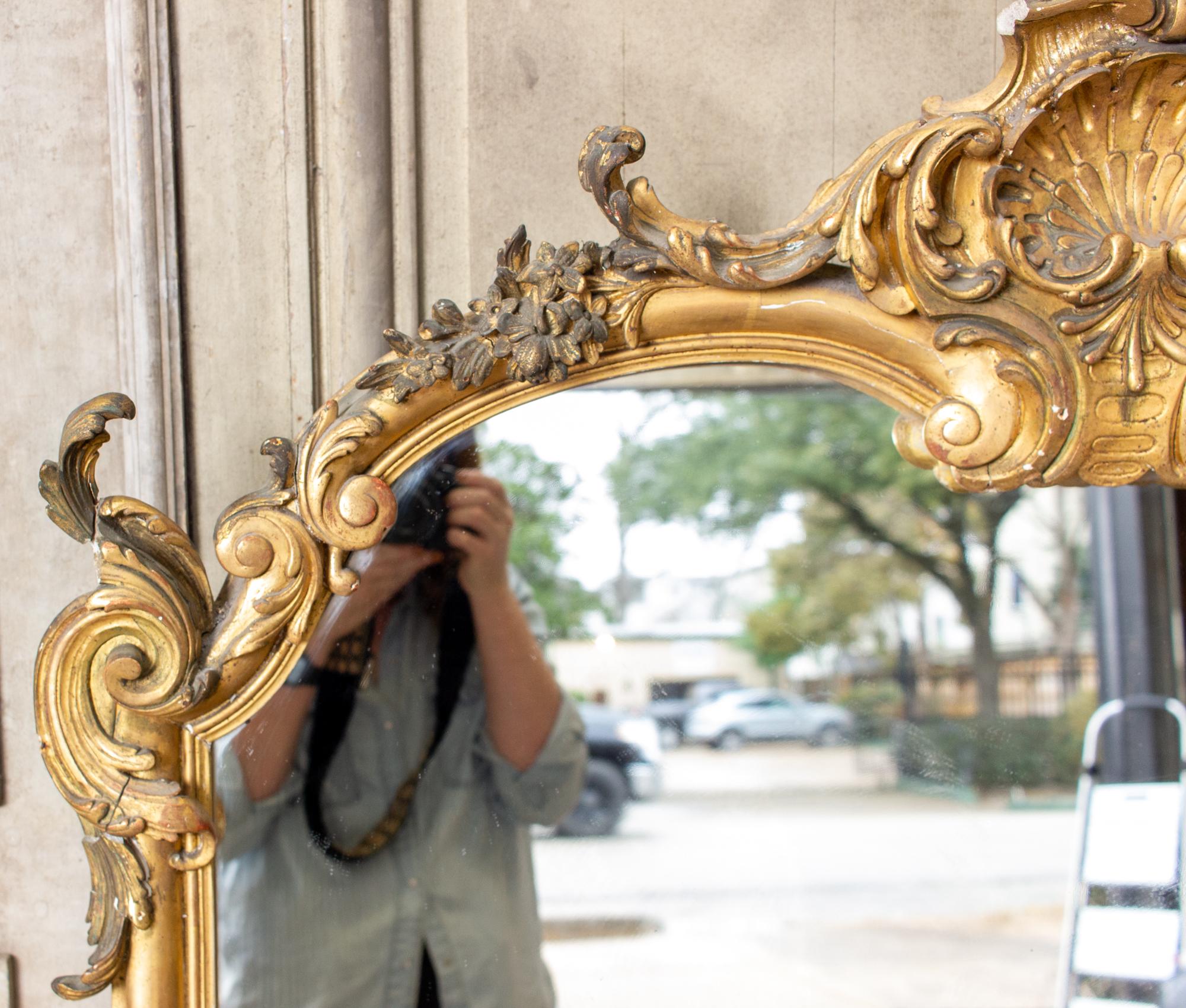 Hand-Carved Antique Gilt Full-Length Mirror with Decorative Carvings and Shell Cartouche