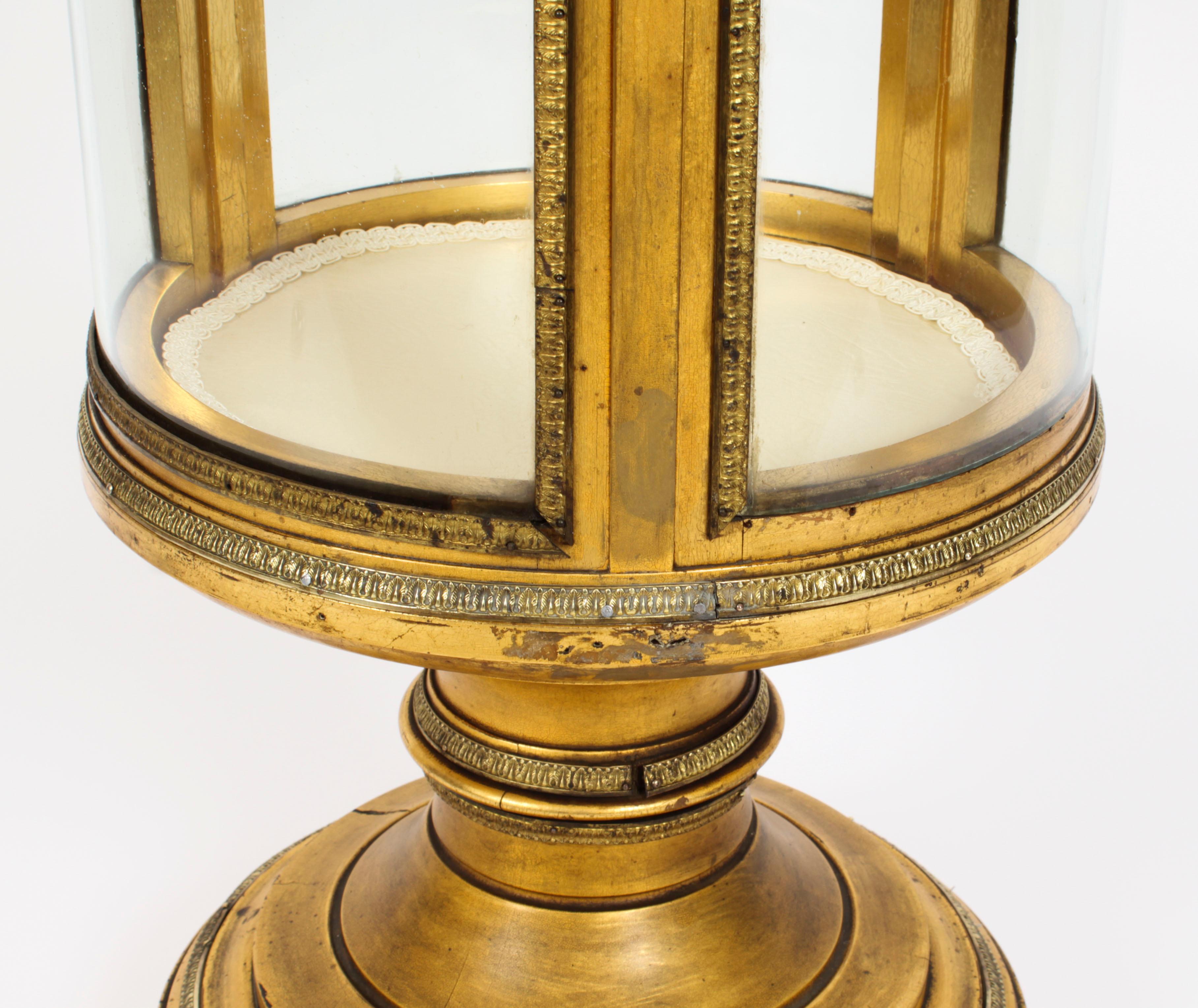 Antique French Giltwood Cylindrical Pedestal Display Cabinet, 19th Century For Sale 5