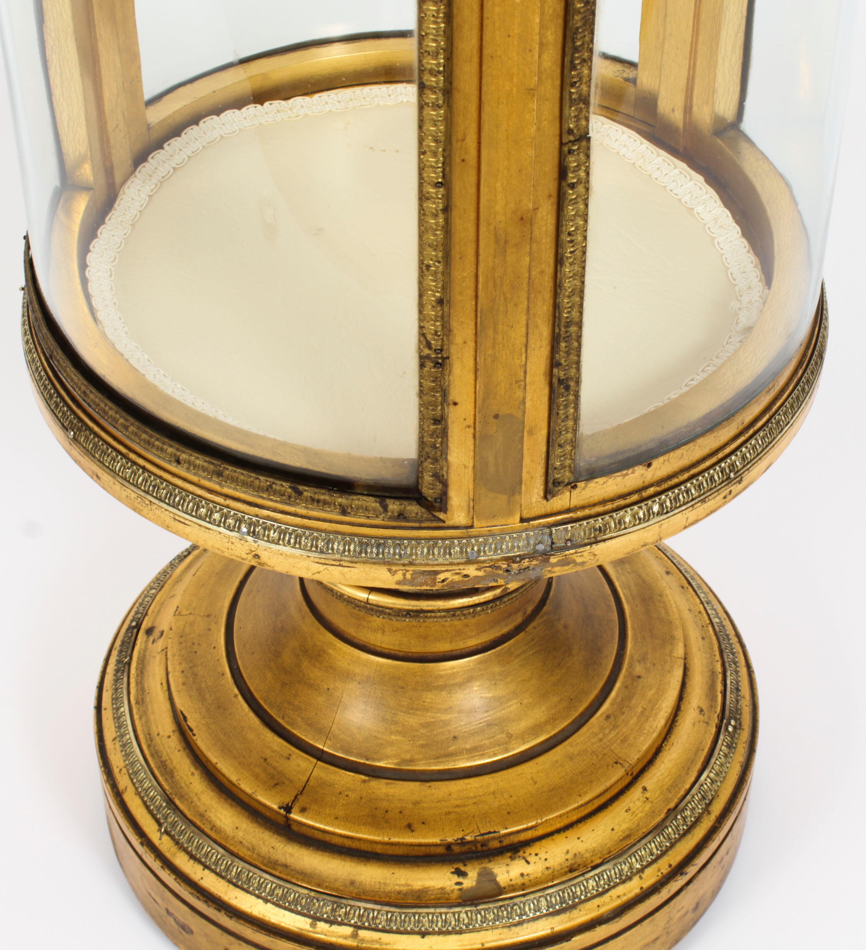 Antique French Giltwood Cylindrical Pedestal Display Cabinet, 19th Century For Sale 4