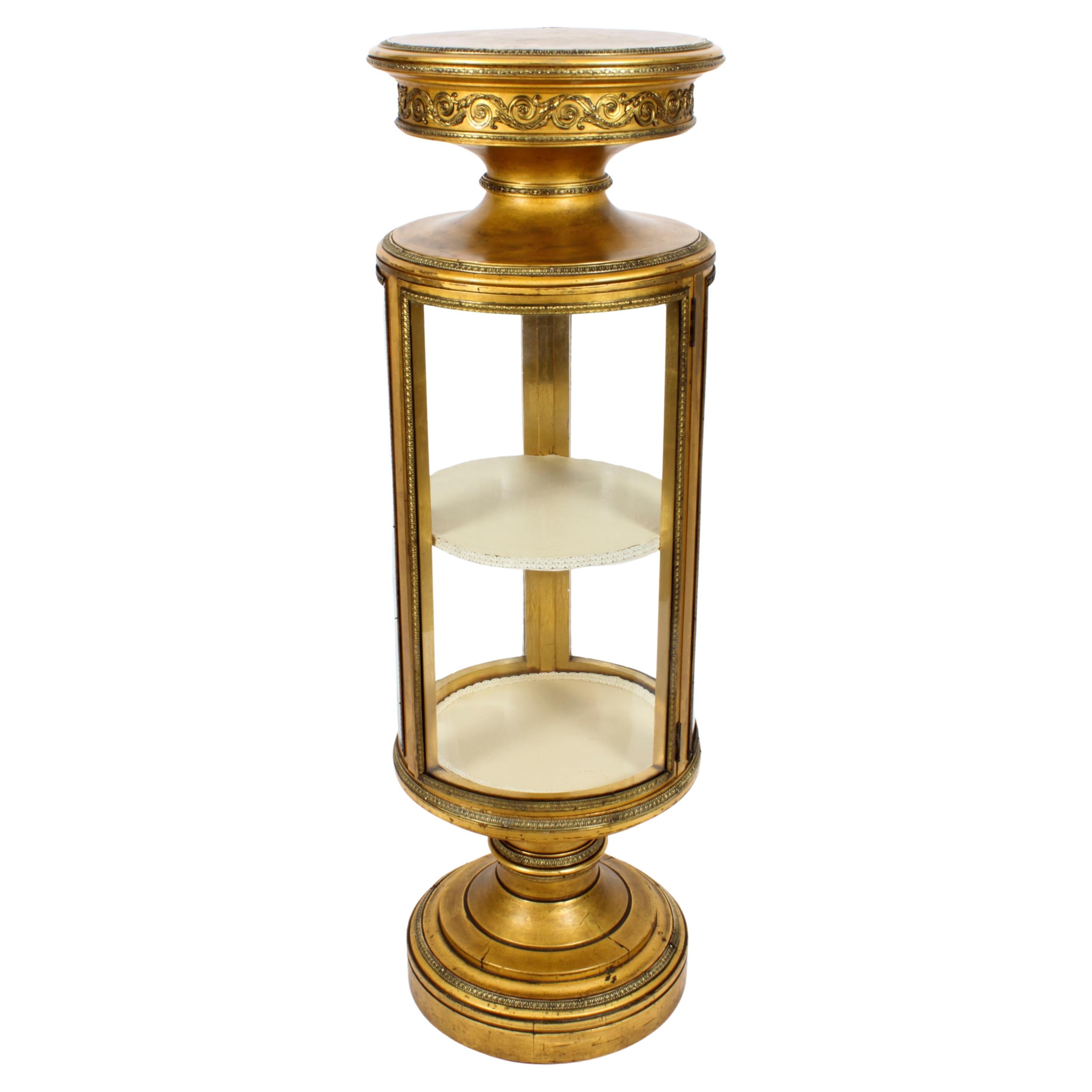 Antique French Giltwood Cylindrical Pedestal Display Cabinet XIX secolo