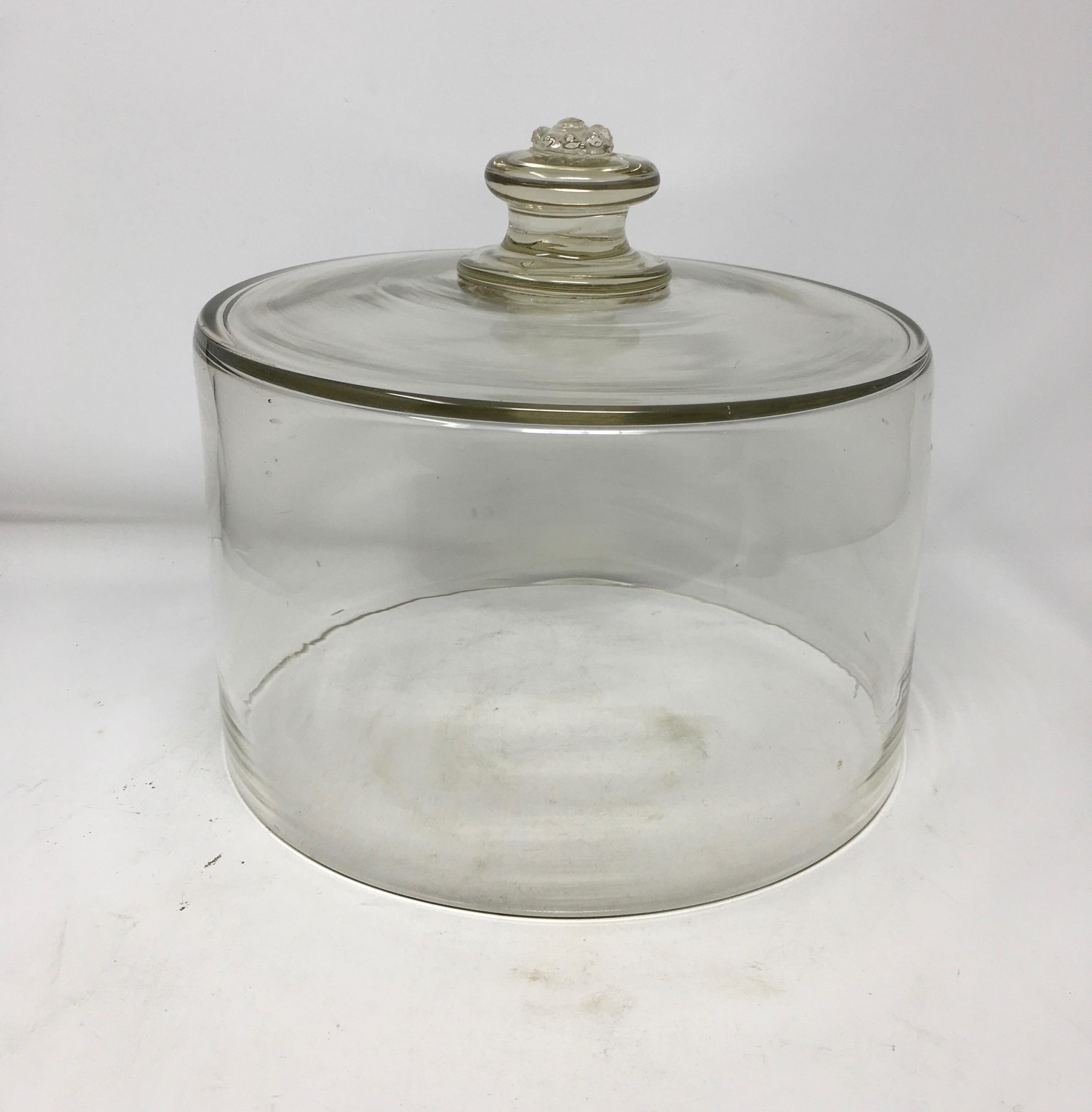 cheese cloche dome