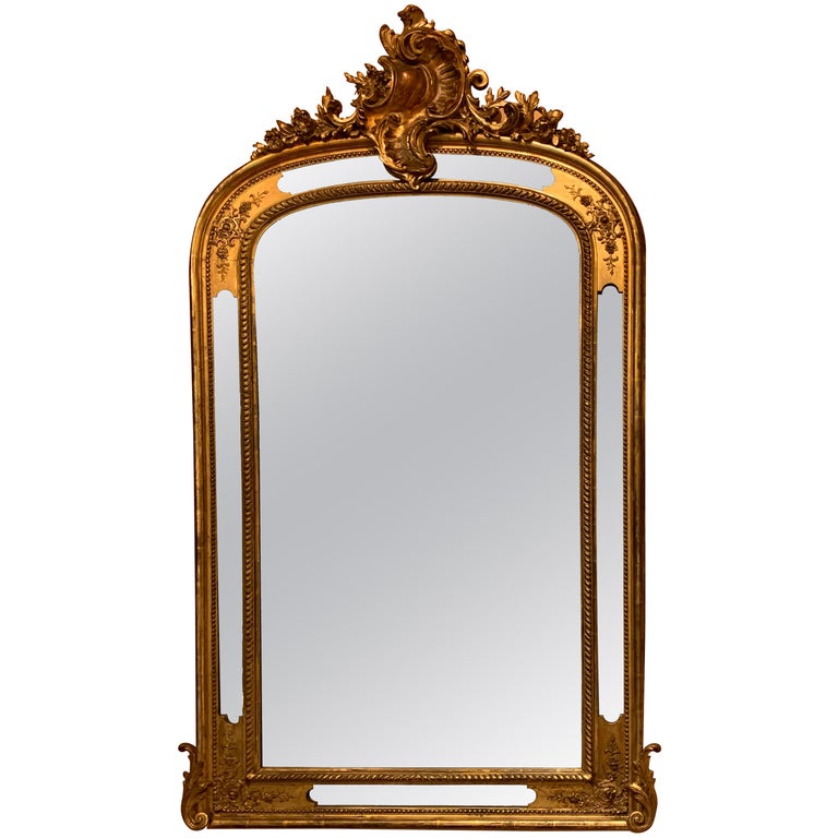 Antique French Gold Leaf Mirror, Paneled For Sale at 1stDibs