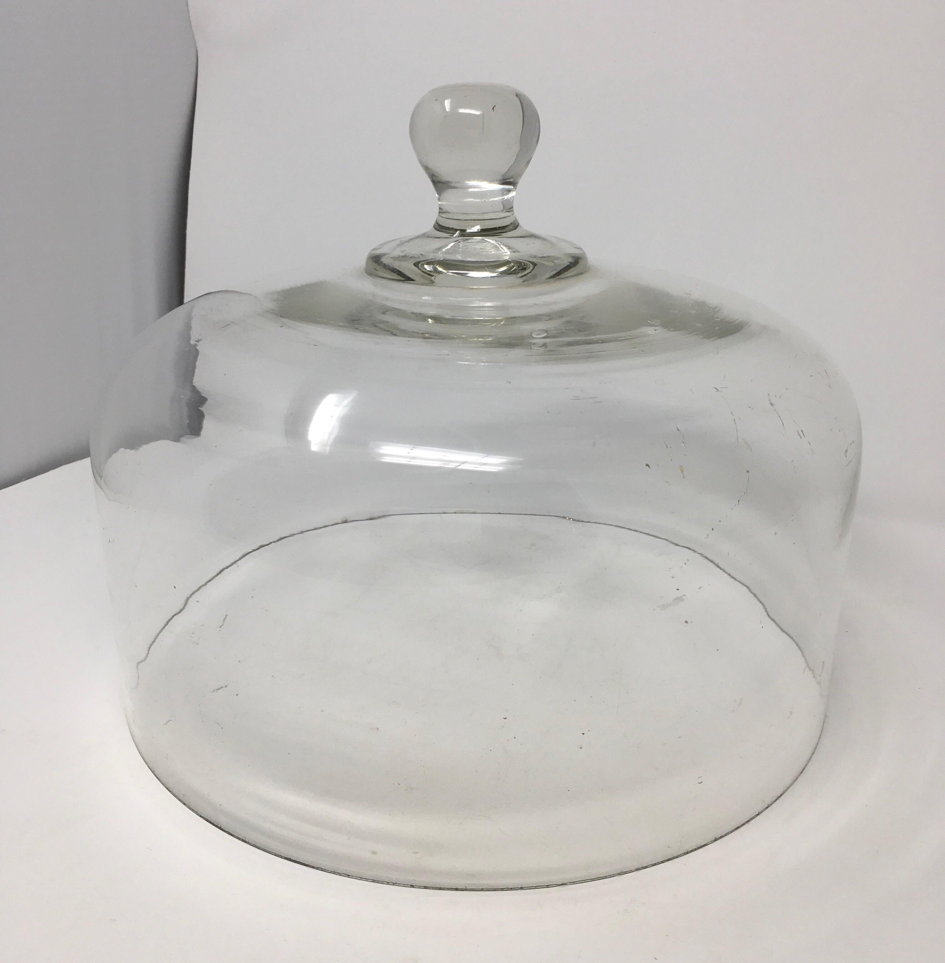 glass cheese cloche