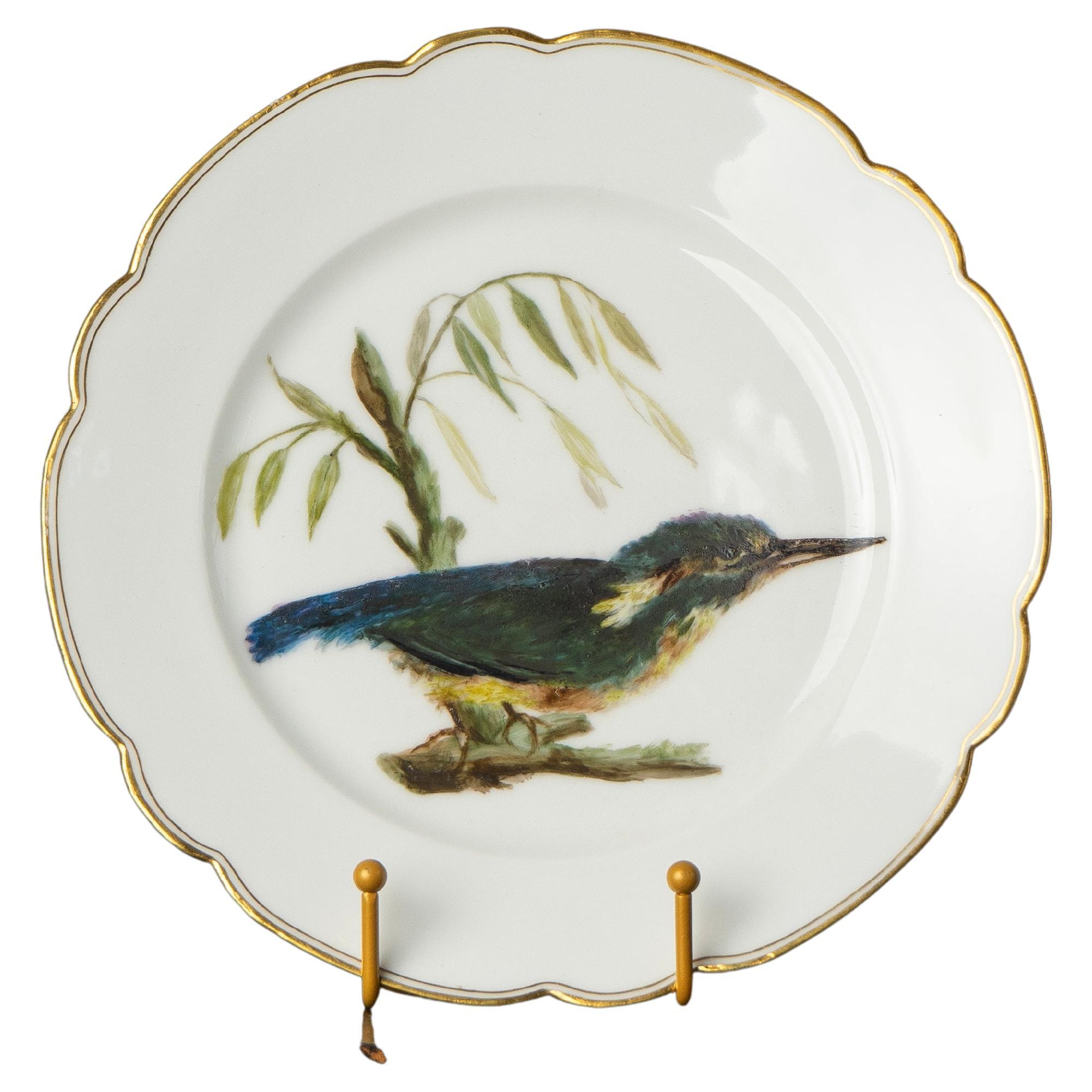 Antique French Hand-Painted Kingfisher Porcelain Plate, 19th Century