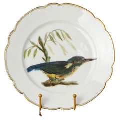 Antique French Hand-Painted Kingfisher Porcelain Plate, 19th Century