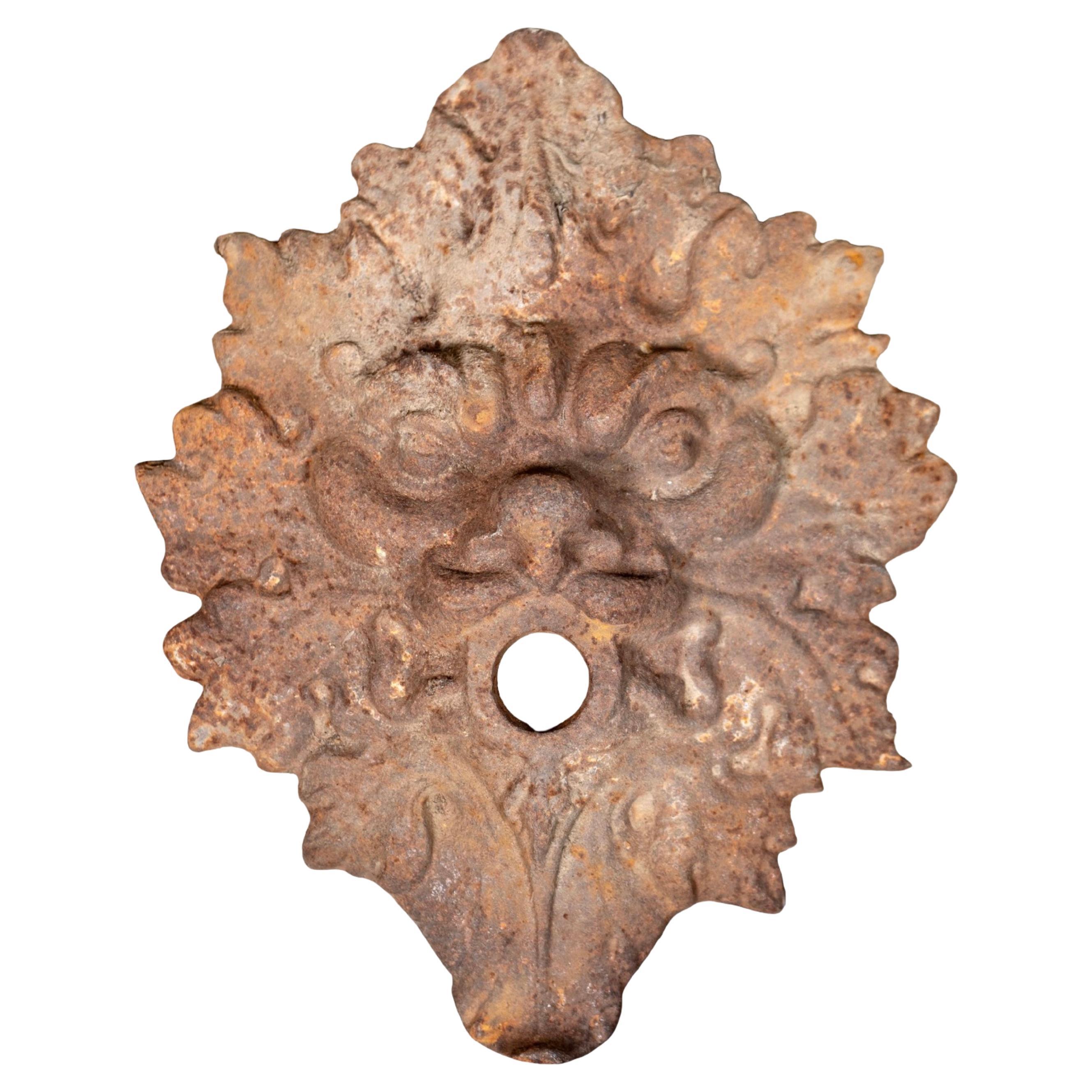 Antique French Iron Mount Spout