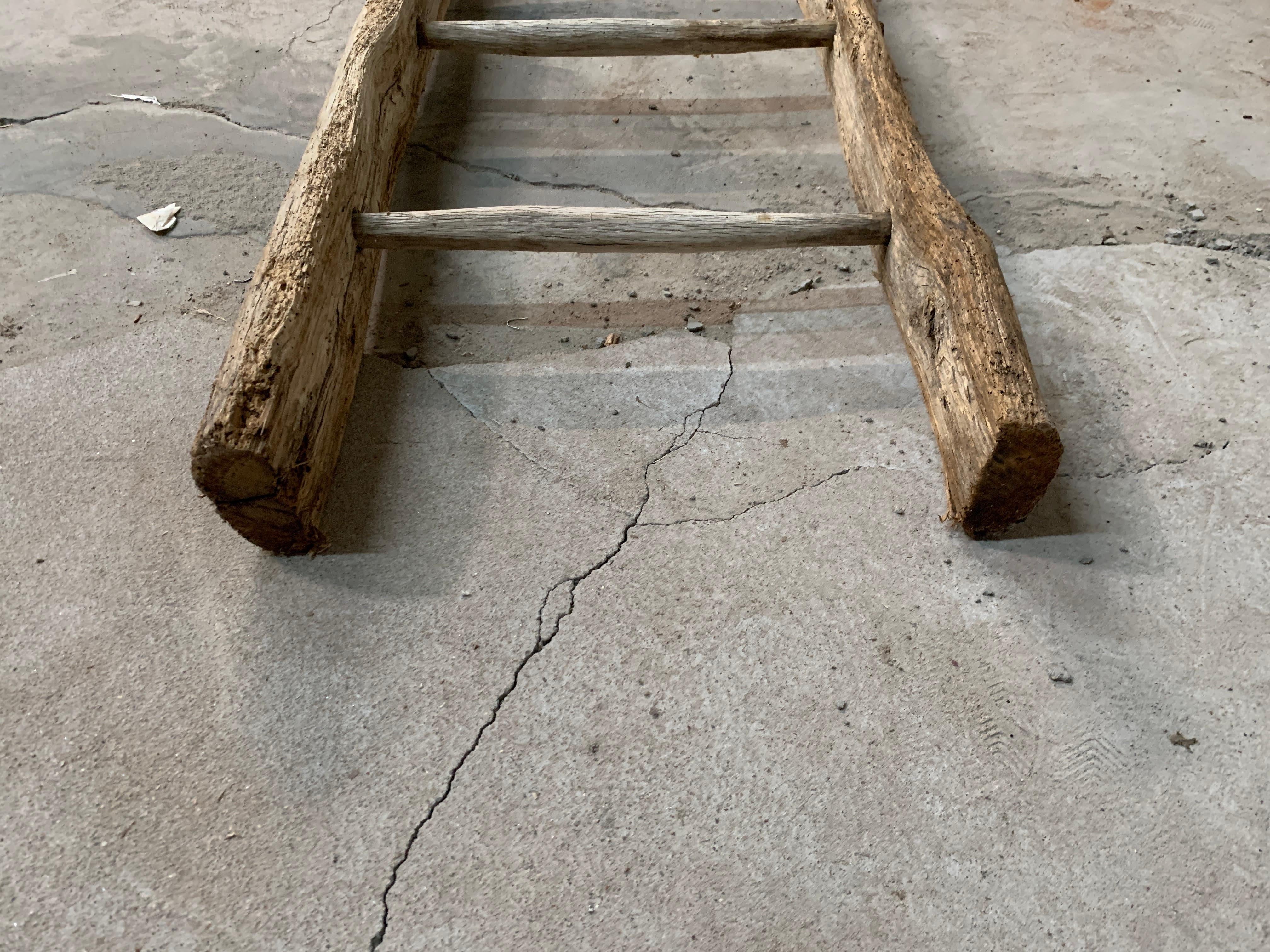 Antique French Ladder 3