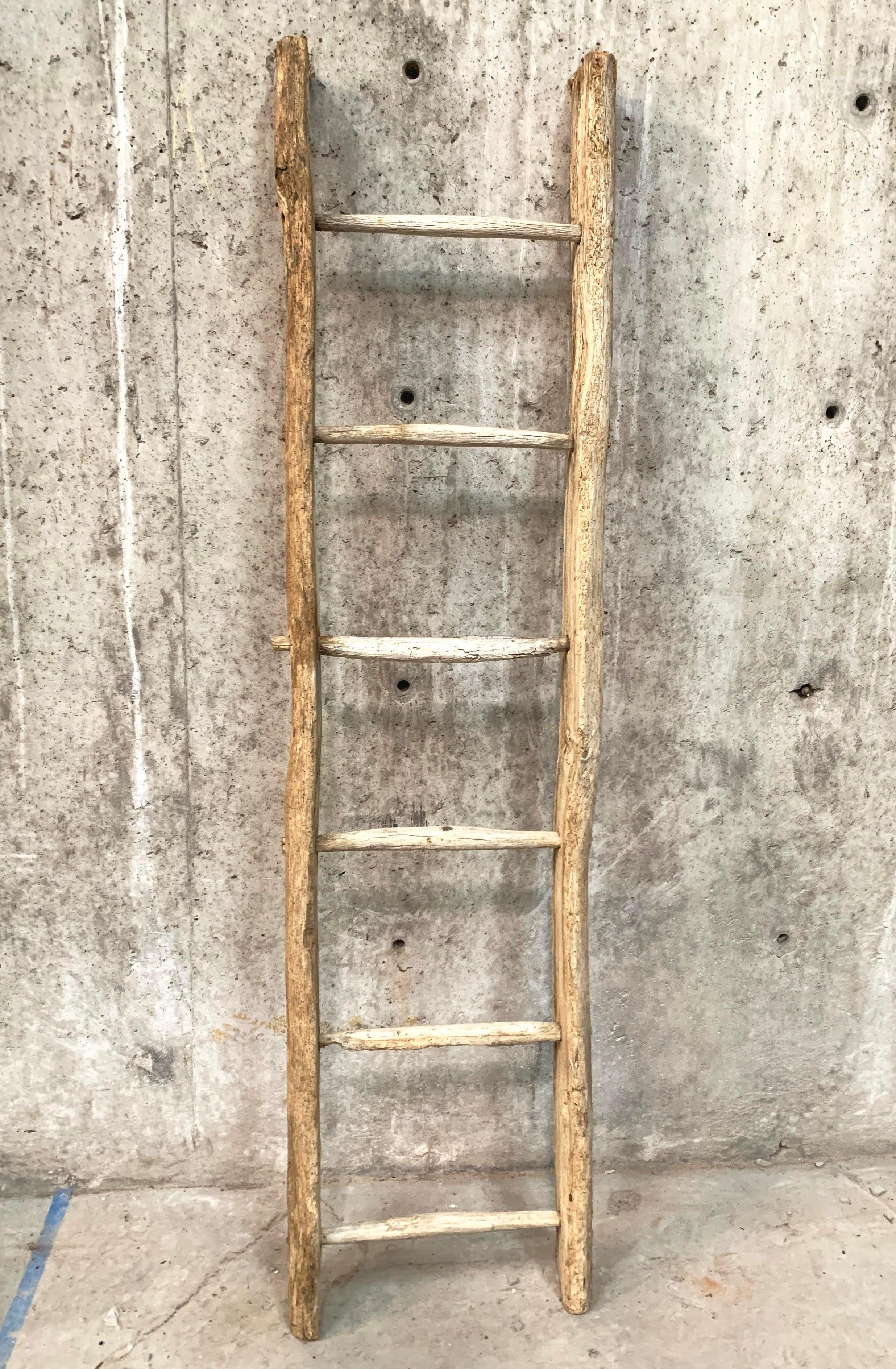 Antique French Ladder 6