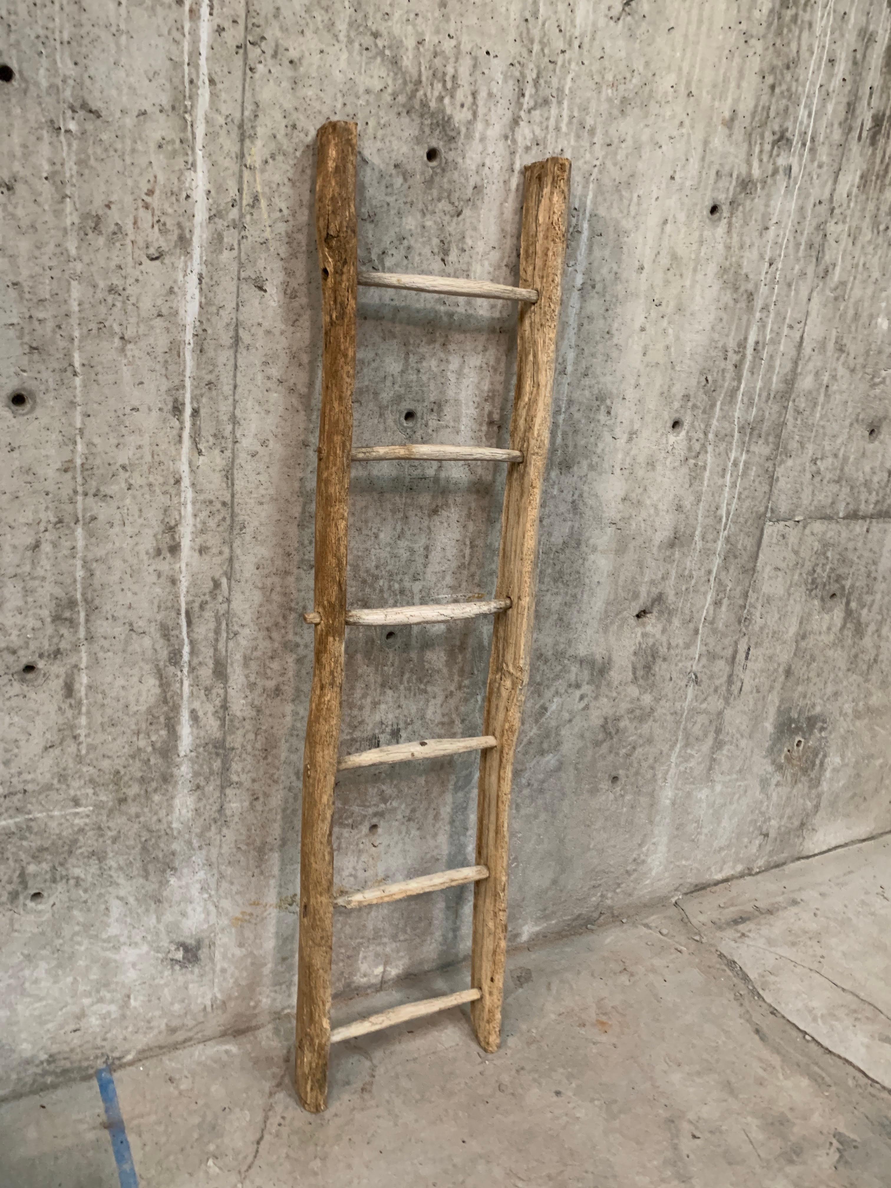 Hand-Crafted Antique French Ladder