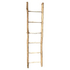Antique French Ladder