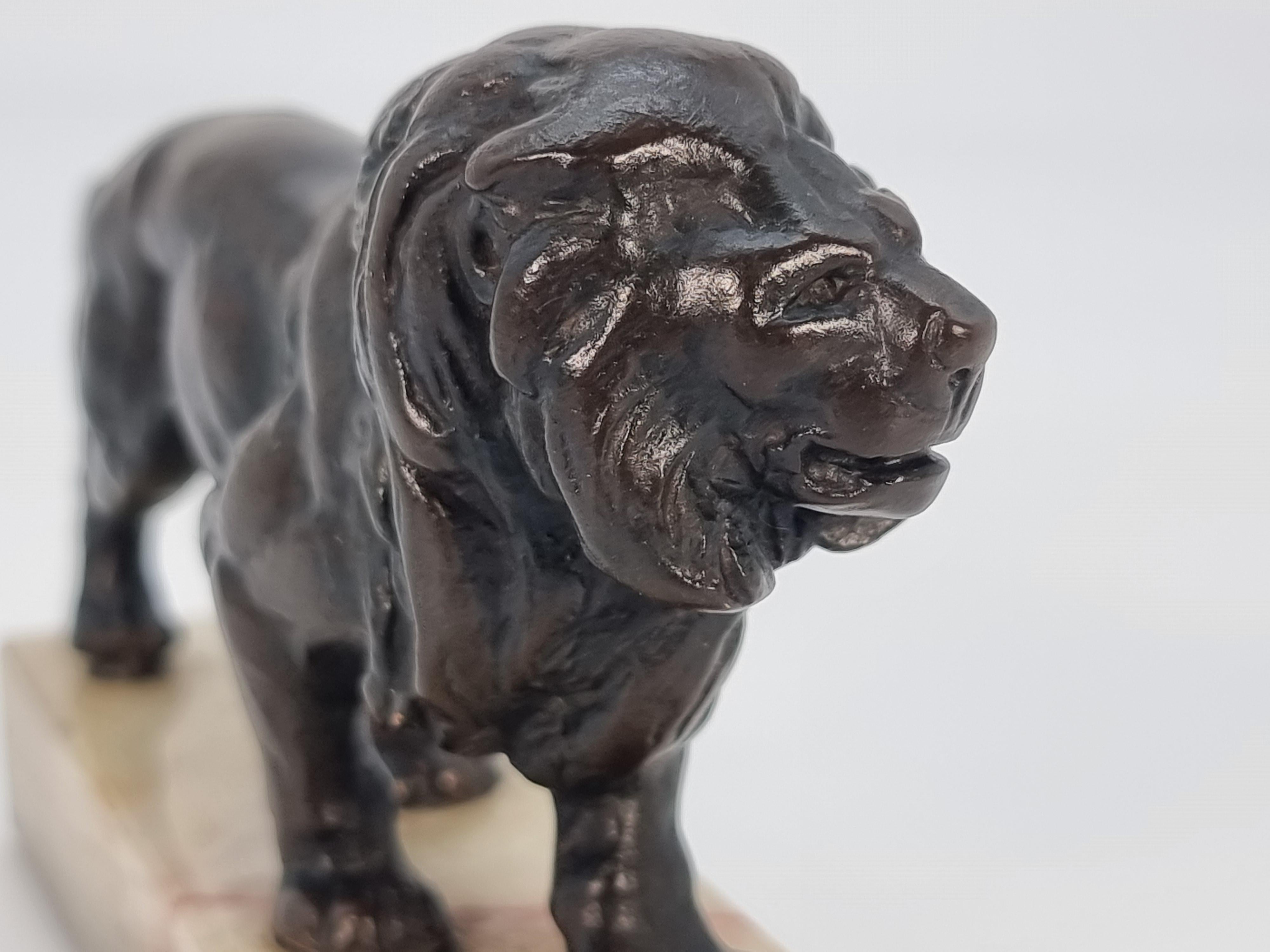 Antique French late 19th century bronze study of a prowling lion circa 1900 For Sale 5