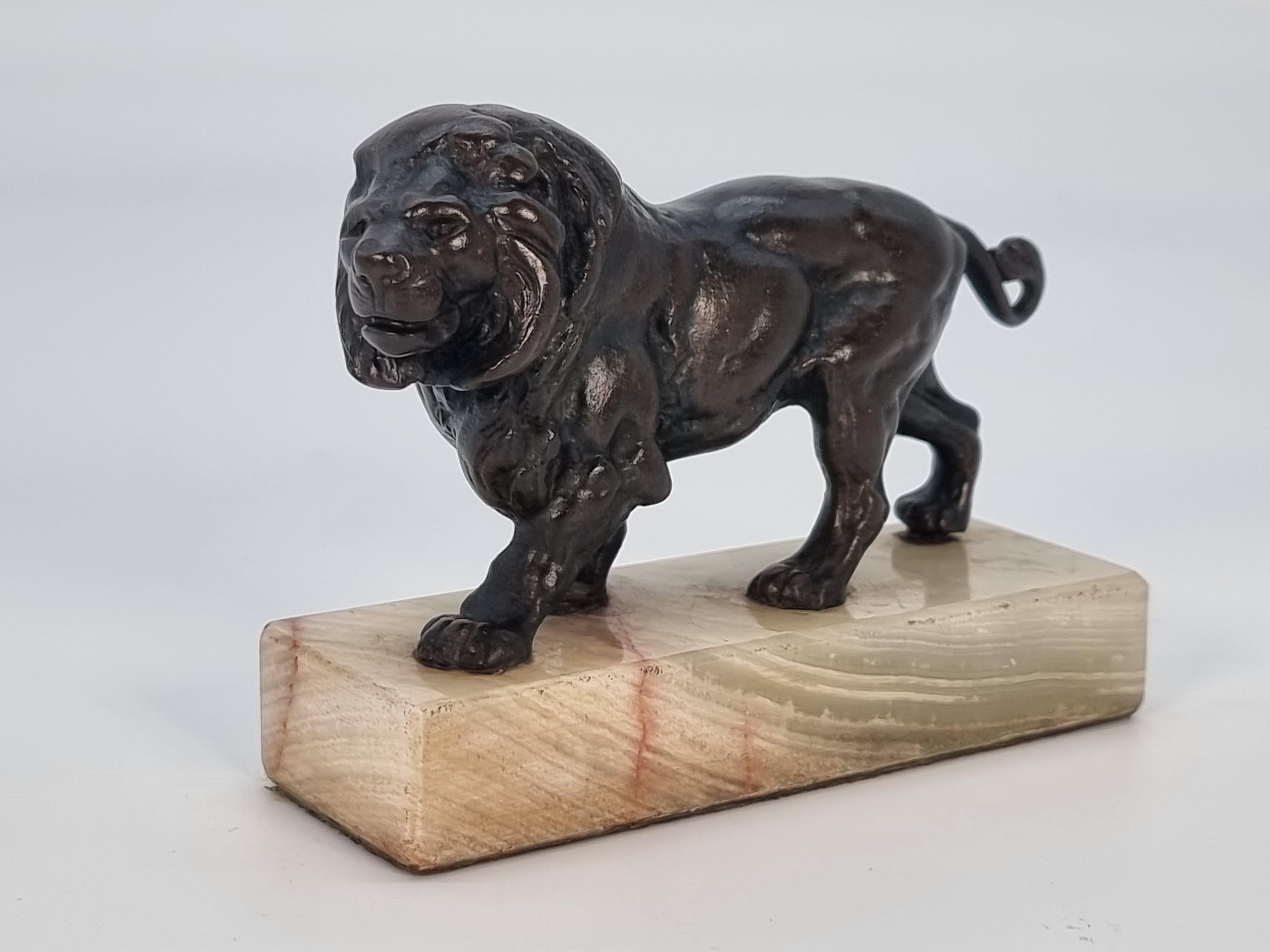 This superbly detailed fine bronze study depicts a male prowling lion. His body ripples with his muscular physique as he moves forward on large clawed paws. His head is framed with a full curly mane and he has a well defined face.

This lovely