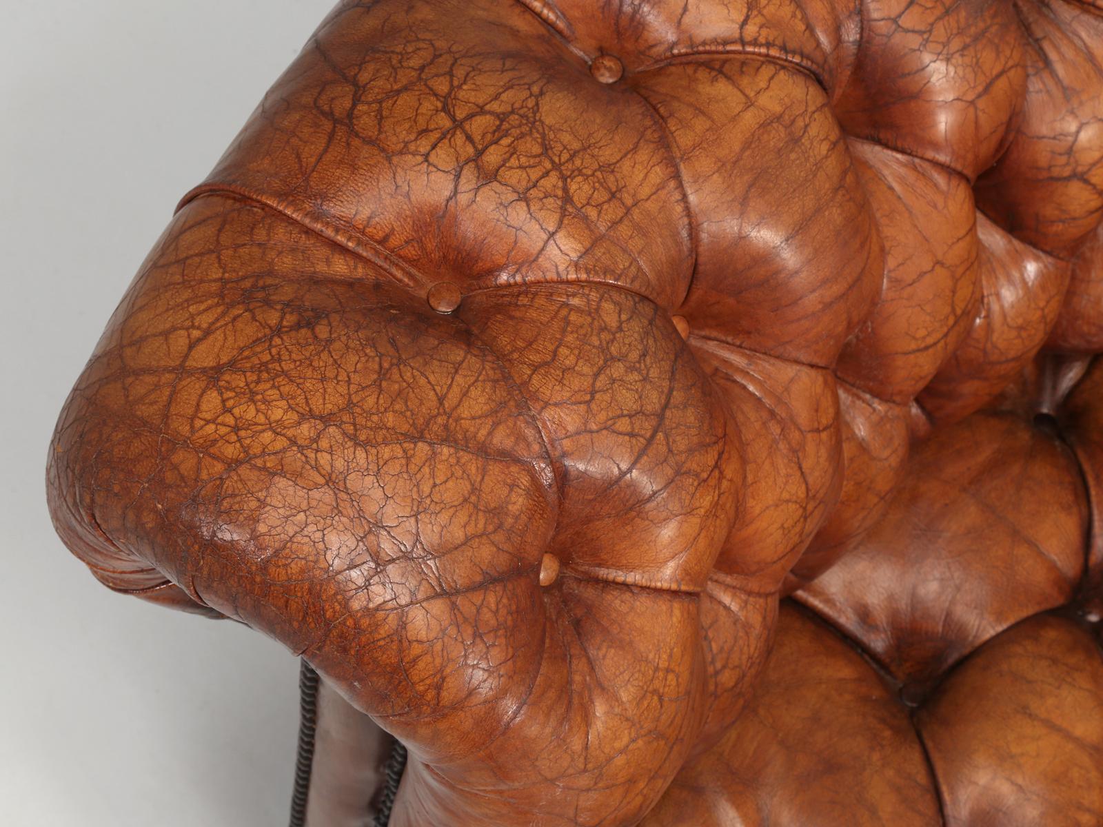 Hand-Crafted Antique French Leather Chesterfield Sofa Bronze Lion Paw Feet, Horsehair Padding