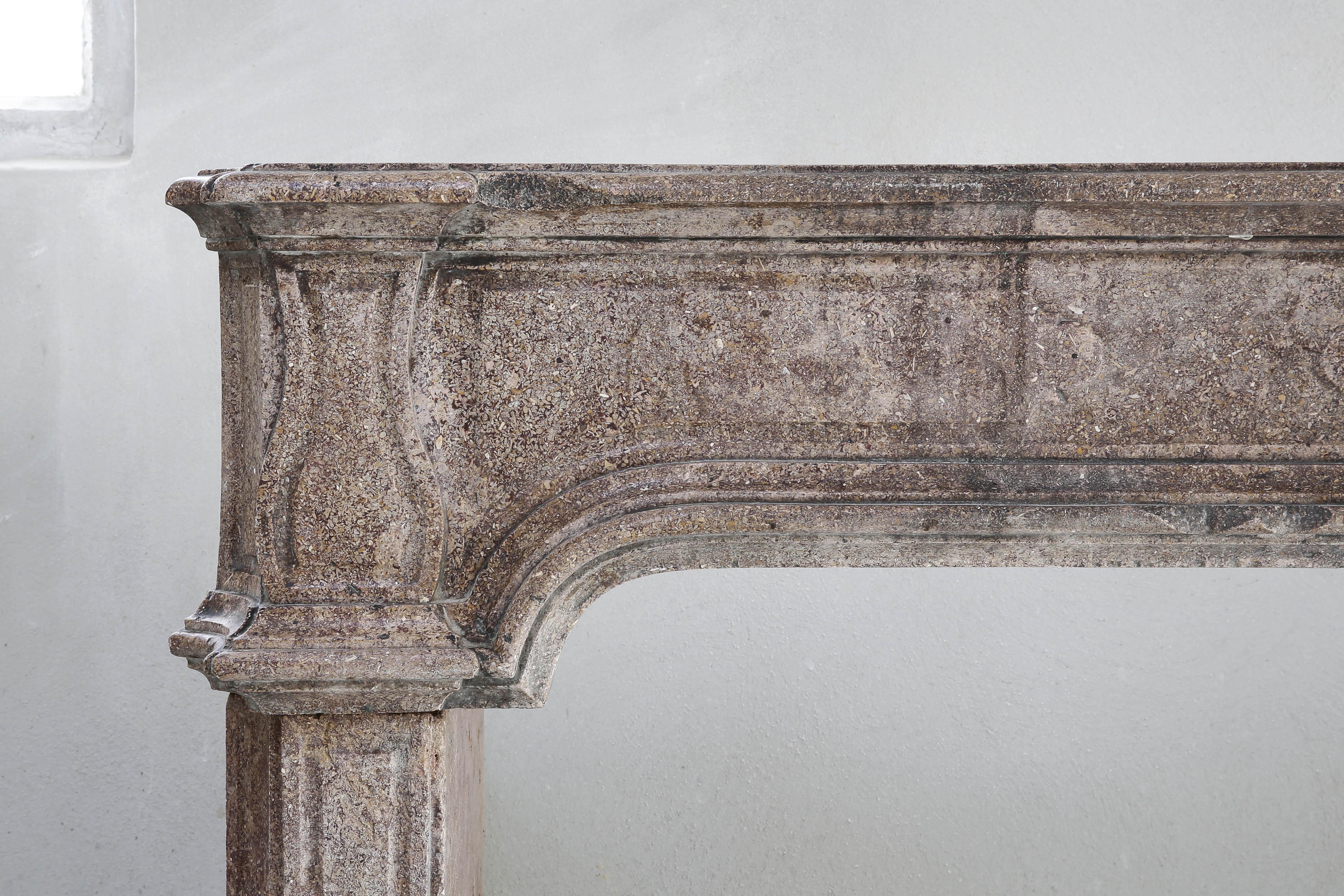 Antique French Limestone Fireplace, 19th Century, Louis XIV 1