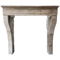Antique French Limestone Fireplace in Campagnarde Style, 19th Century
