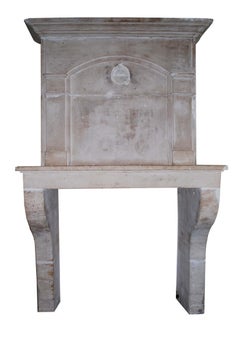 Antique French Limestone Fireplace or Mantelpiece with Overmantel or Trumeau