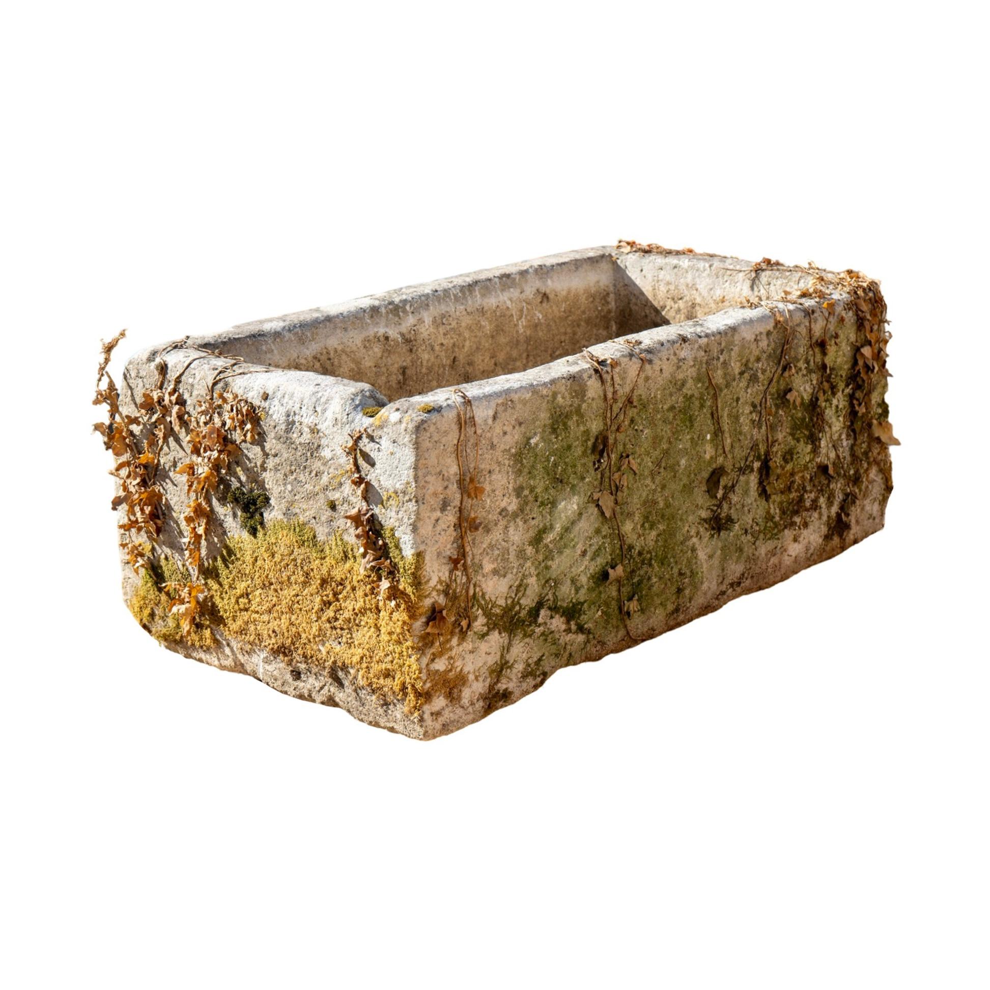 Cette auge ancienne en pierre calcaire française, datant du XVIIIe siècle, présente une patine de caractère unique et de charmantes vignes florales anciennes, mettant en valeur sa riche histoire. Parfaite pour les massifs de fleurs ou comme bassin