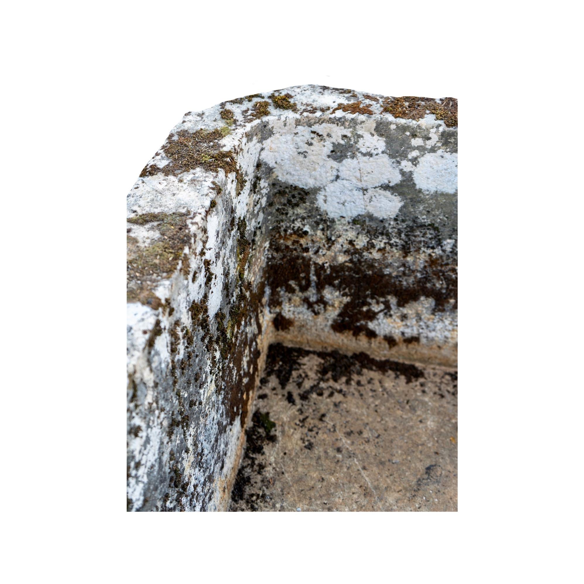 An antique 17th-century rectangular limestone trough, reclaimed from France, exudes timeless charm with its rich character and natural patina, showcasing the wear and aging that tell its storied history. Versatile in use, it can serve as a stunning