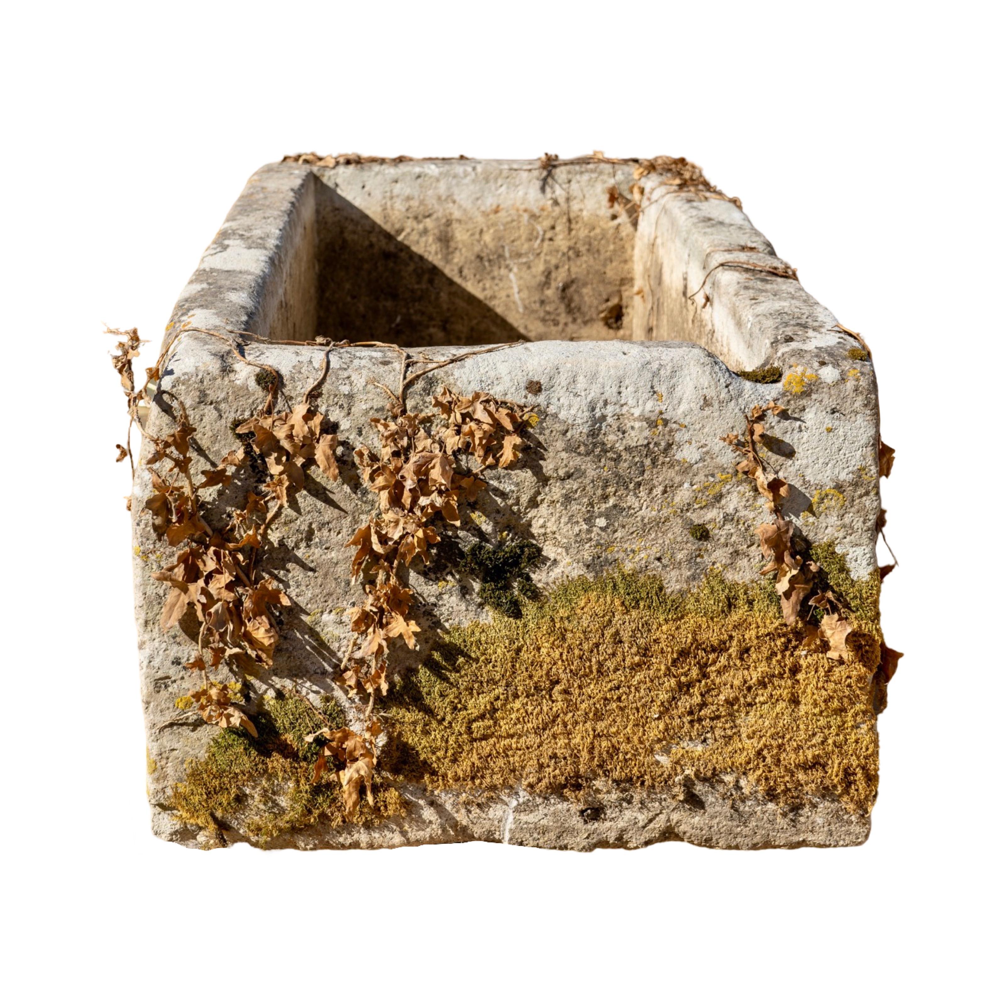 18th Century and Earlier Antique French Limestone Trough