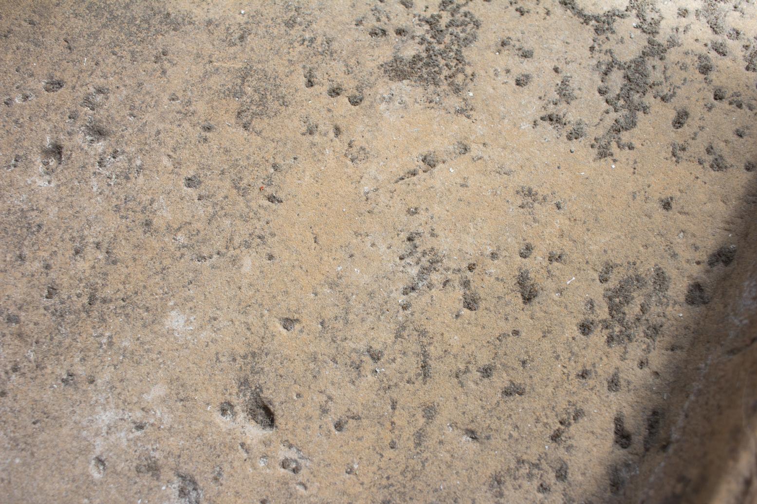 Antique French Limestone Trough 1