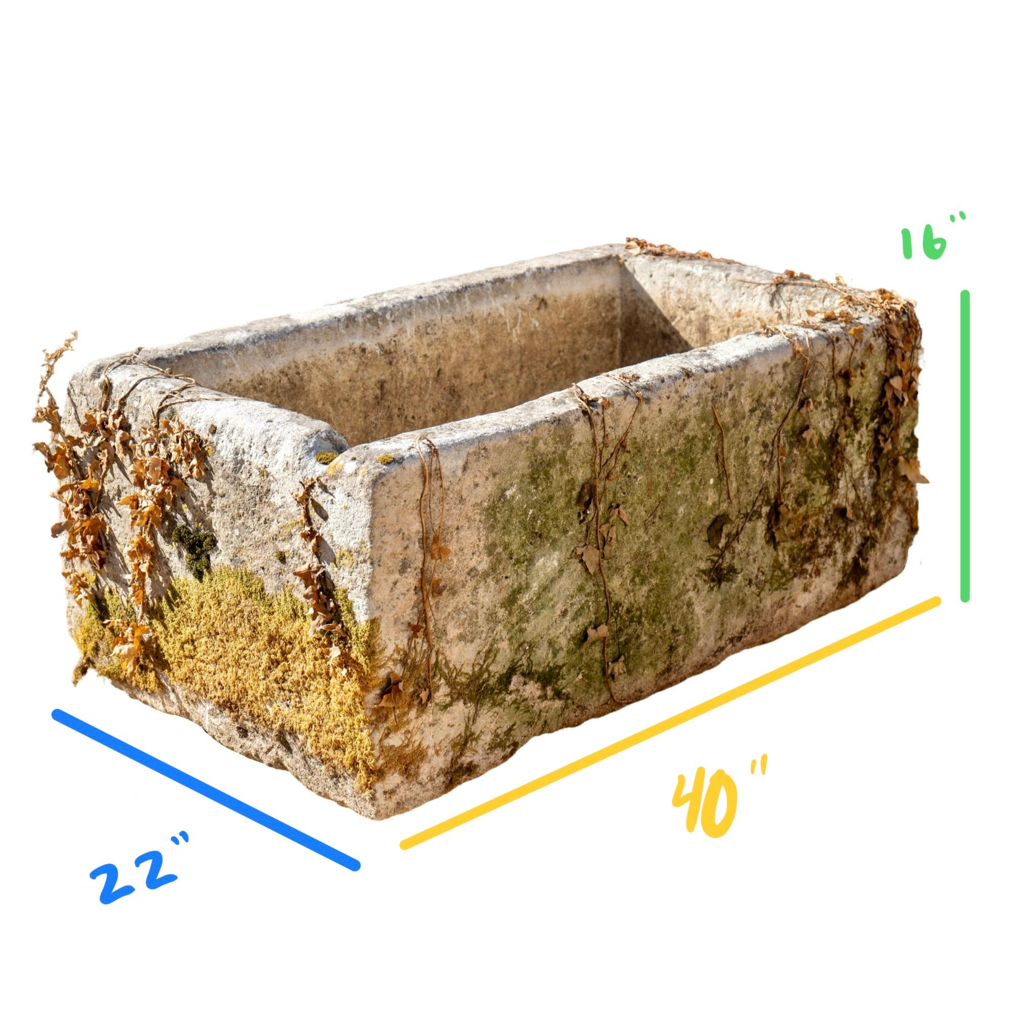 Antique French Limestone Trough 4