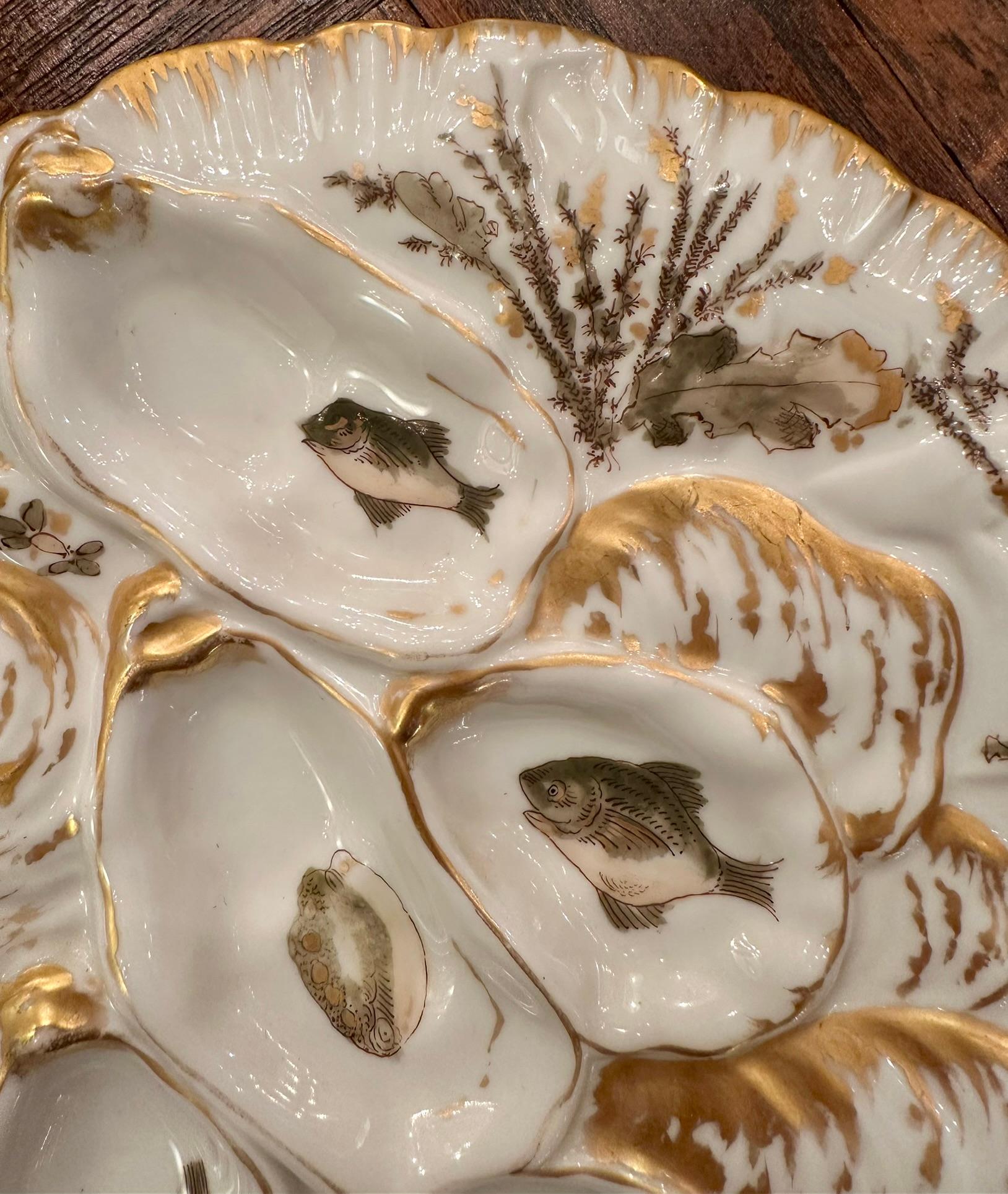 Antique French Limoges Porcelana Sea Life Turkey Pattern Oyster Plate Ca. 1890 Francés en venta