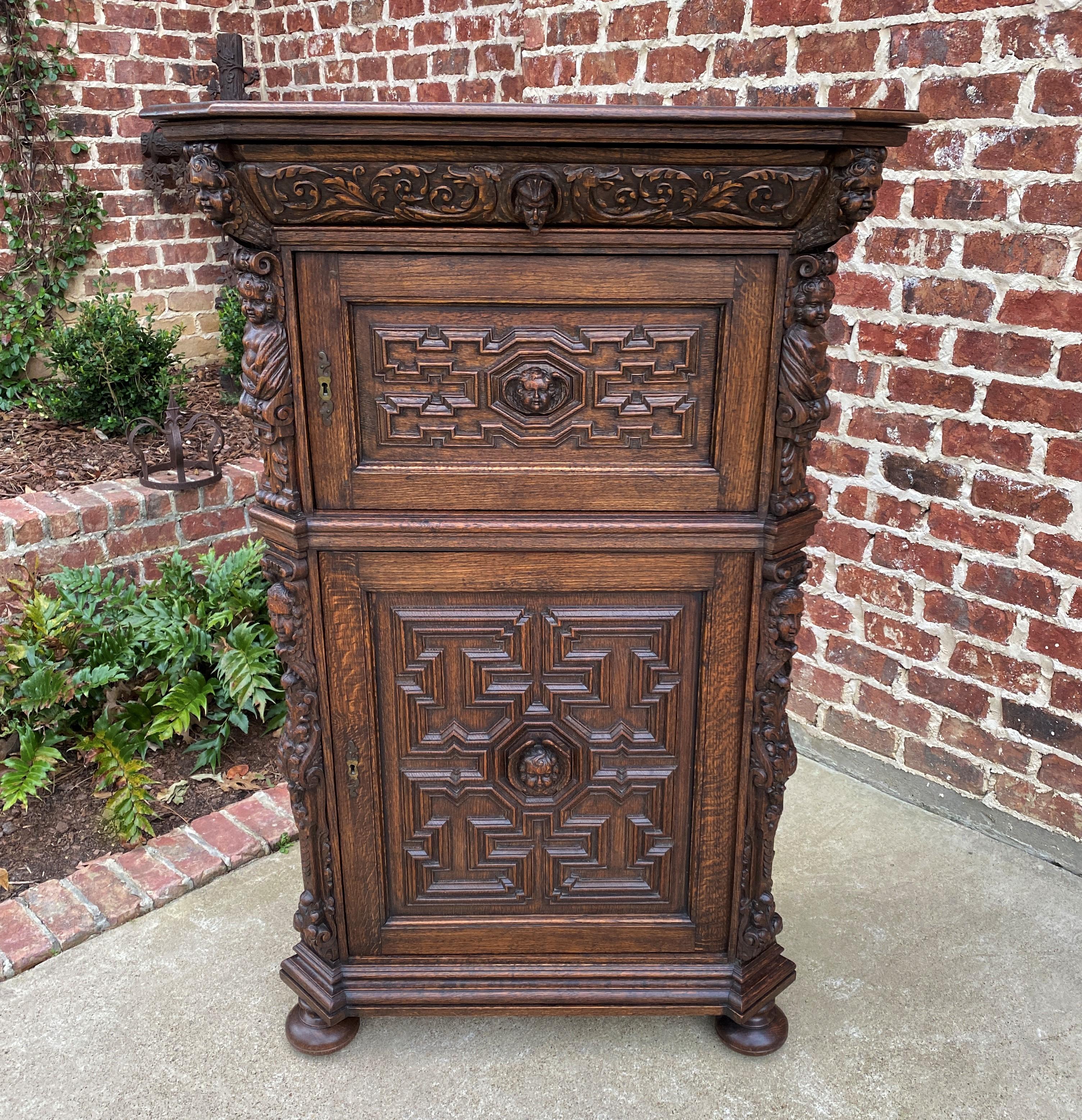 19th Century Antique French Lingerie Cabinet Chest Canted Corners Oak Renaissance Revival 