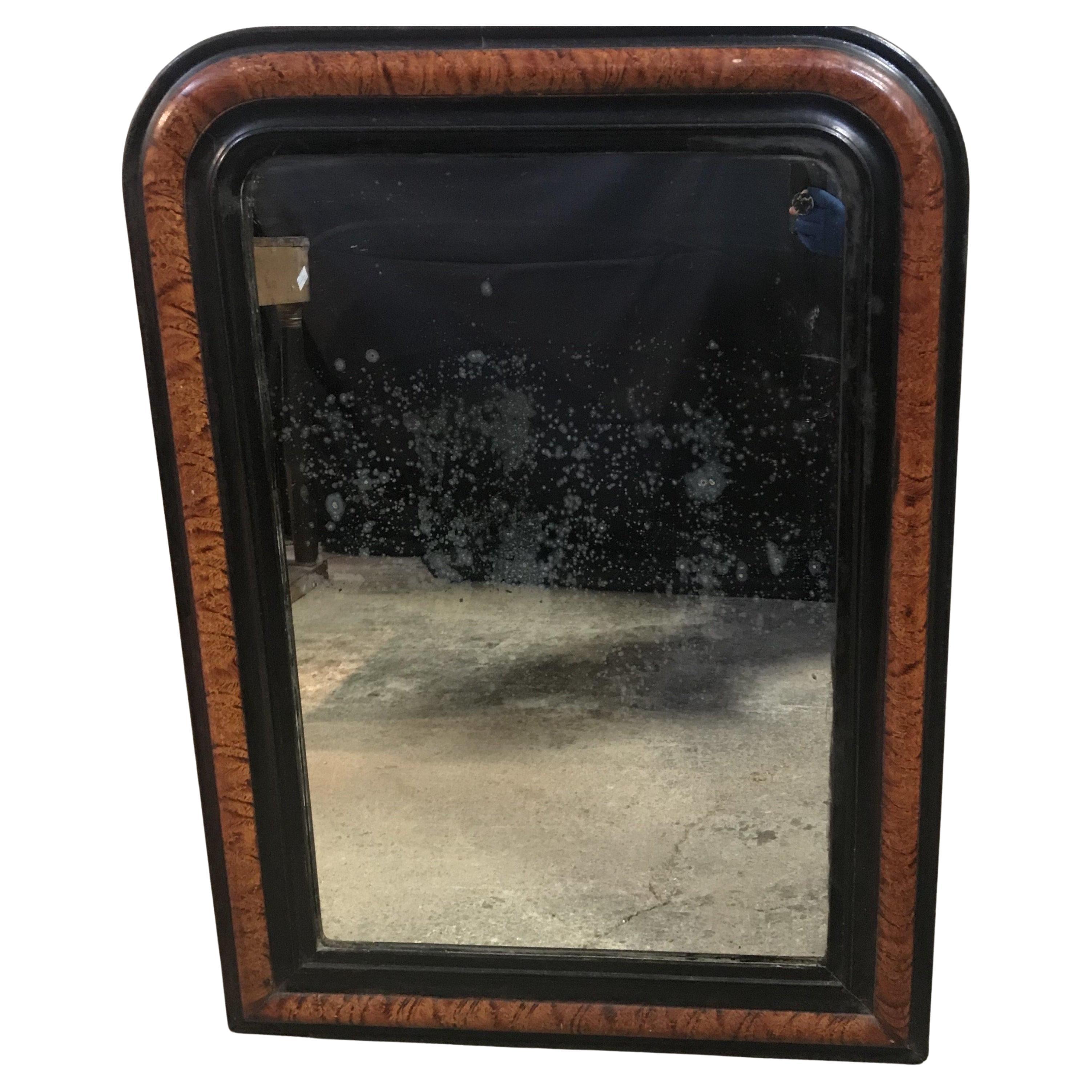 Antique French Louis Philippe Faux Painted Mirror For Sale
