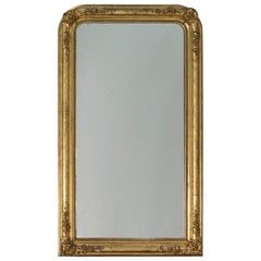Used French Louis Philippe Mirror Wine Grape Motif France, circa 1865