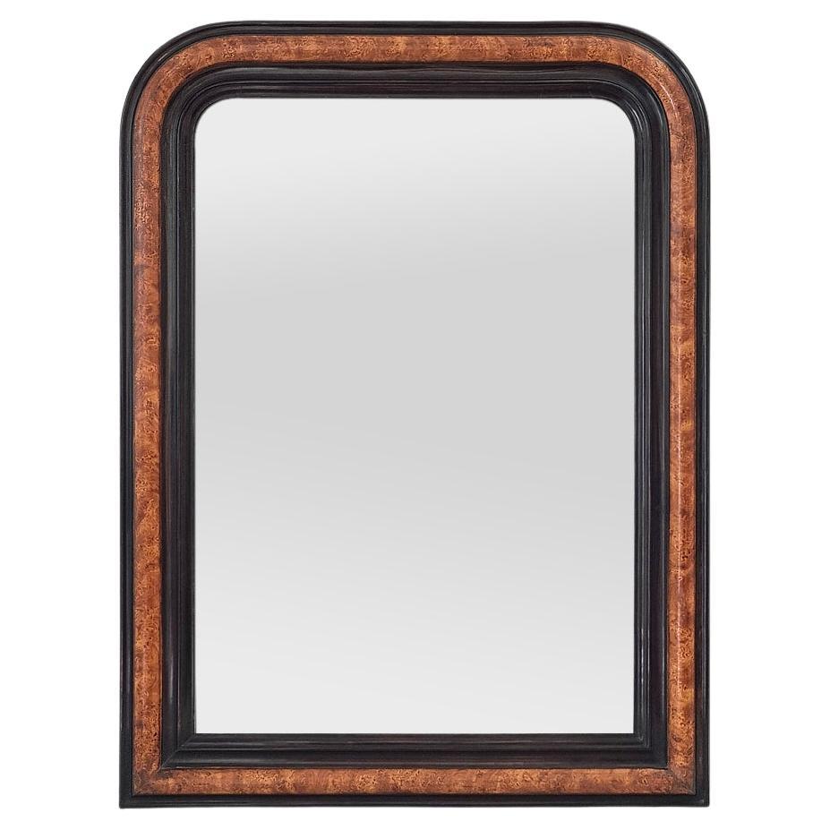 Antiguo Espejo Francés Estilo Louis Philippe, Imitación Madera Pintada, circa 1880