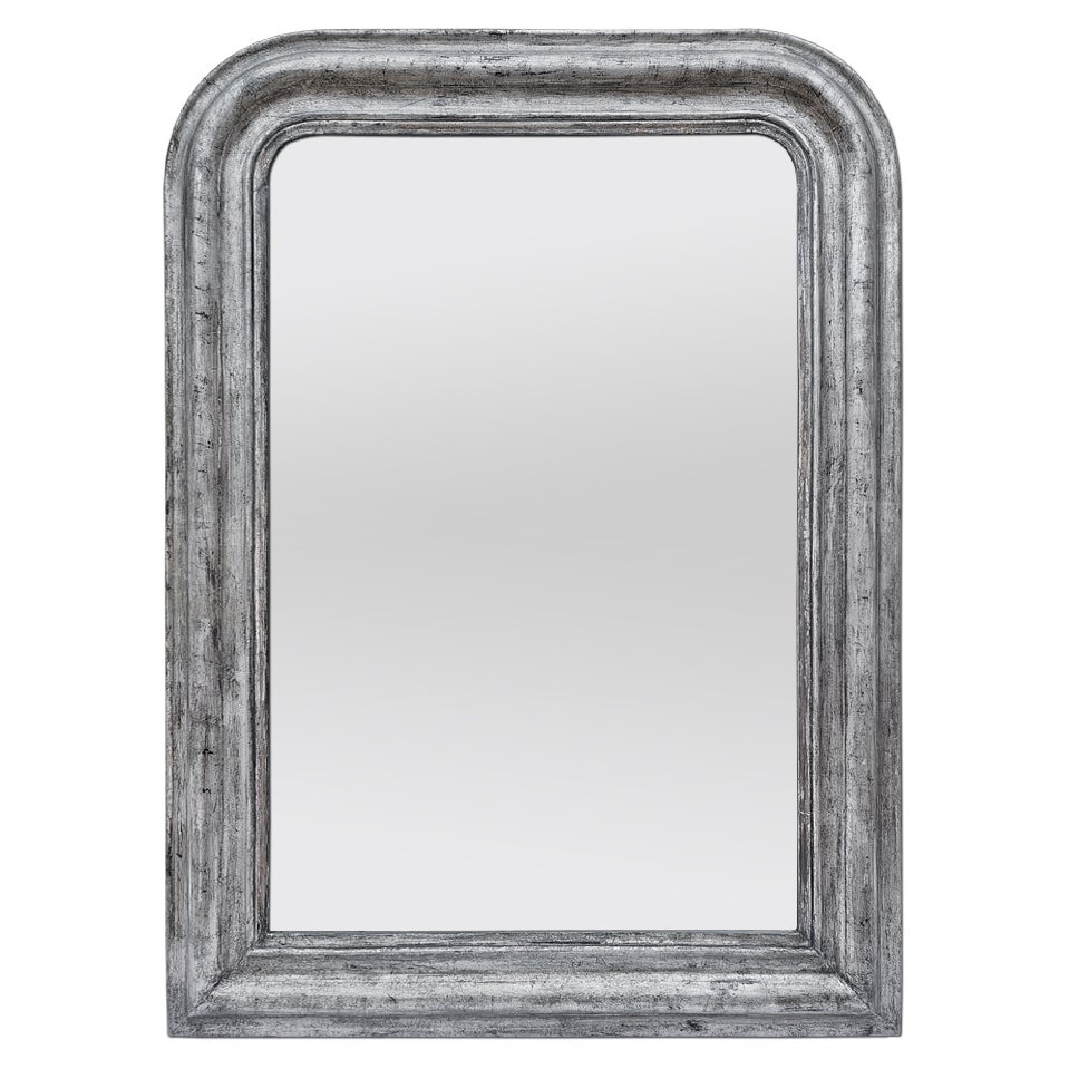 Antique French Louis-Philippe Style Mirror In Patinated Silver Wood, circa 1885 For Sale