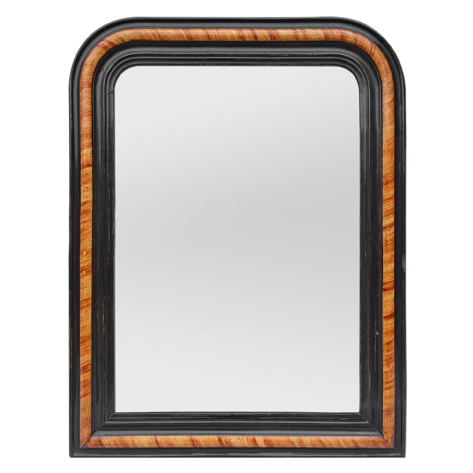 Antique French Louis-Philippe Style Mirror With Imitation Wood Decor, circa 1880 For Sale