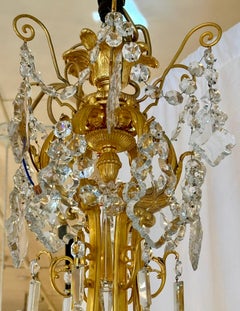 Antique French Louis XV Style Bronze D'Oré & Crystal 24 Light Chandelier, c.1890