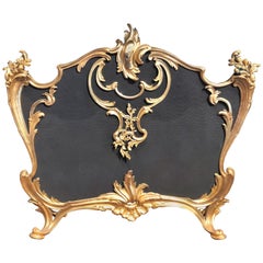 Antique French Louis XV Bronze Doré Firescreen