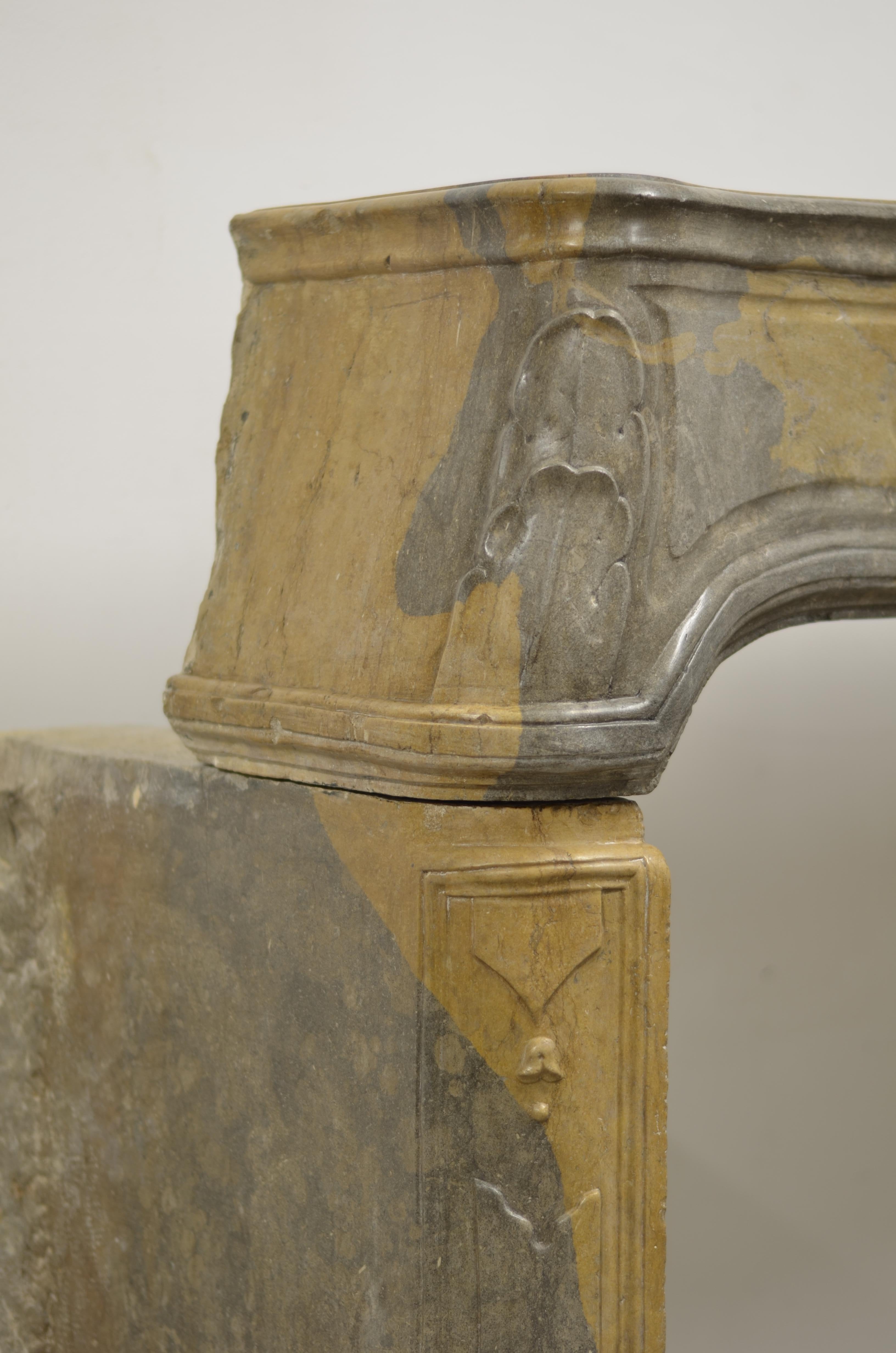 Antique French Louis XV Camino da camino in vendita 8