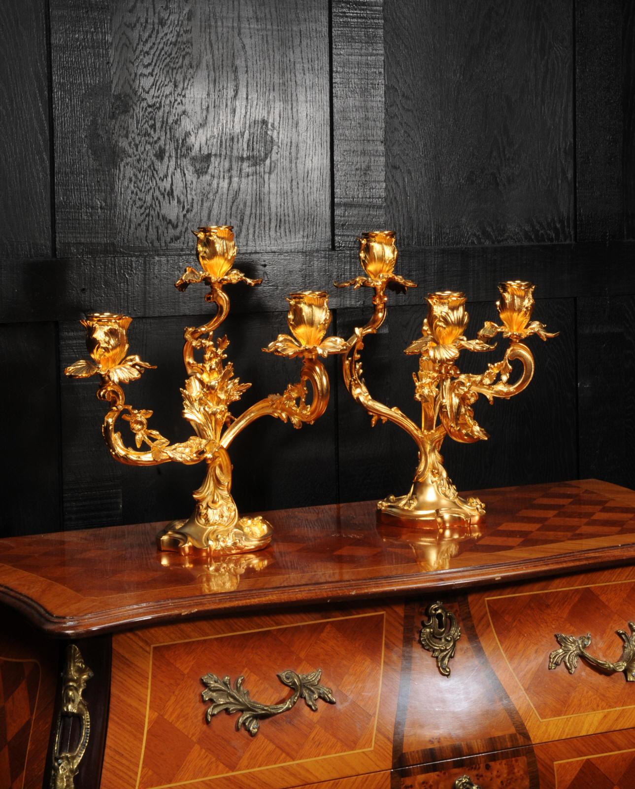 Large Antique French Louis XV Ormolu Rococo Candelabra After Meissonnier 6
