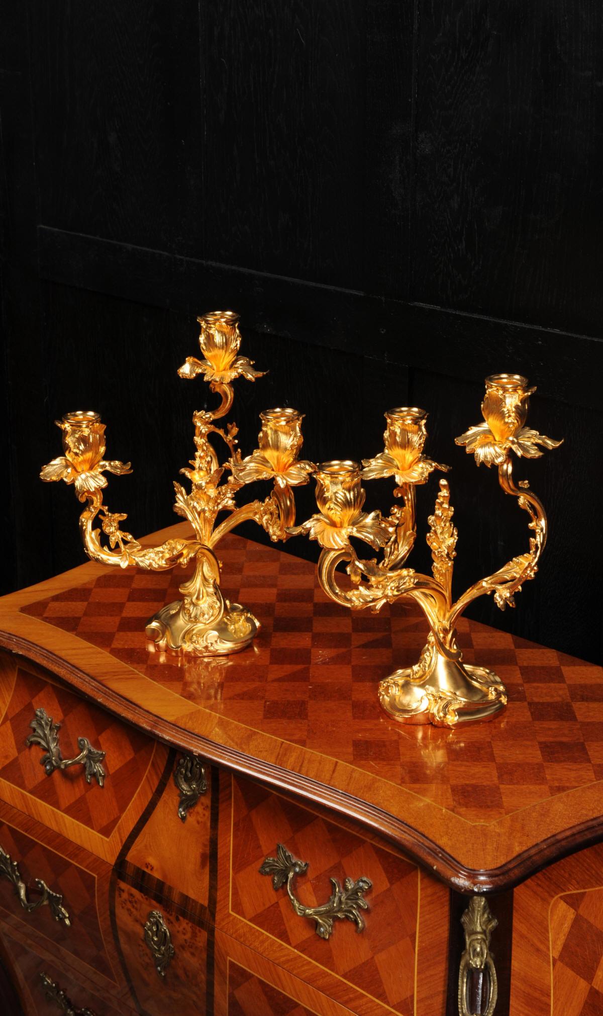 Large Antique French Louis XV Ormolu Rococo Candelabra After Meissonnier 8