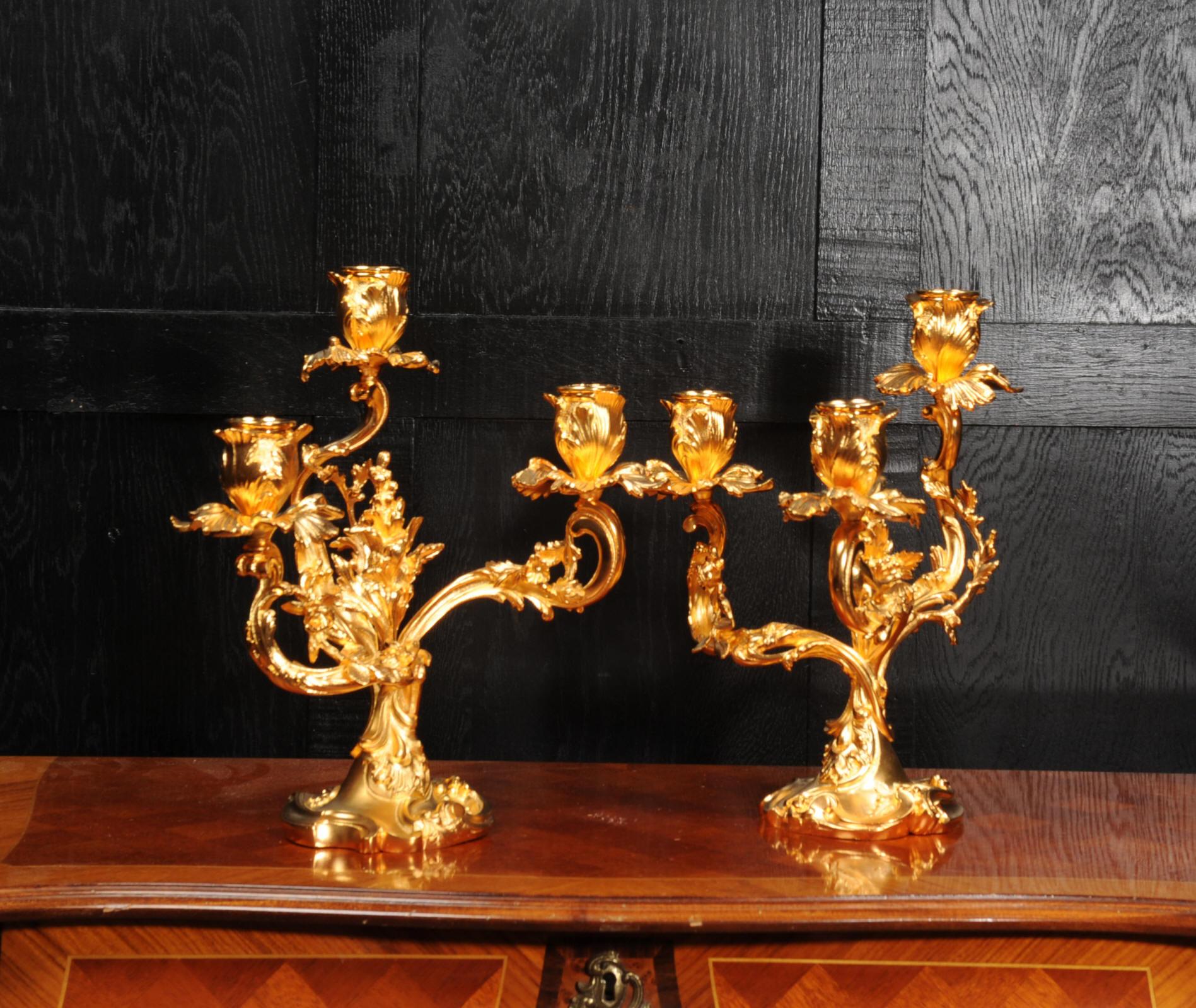 19th Century Large Antique French Louis XV Ormolu Rococo Candelabra After Meissonnier