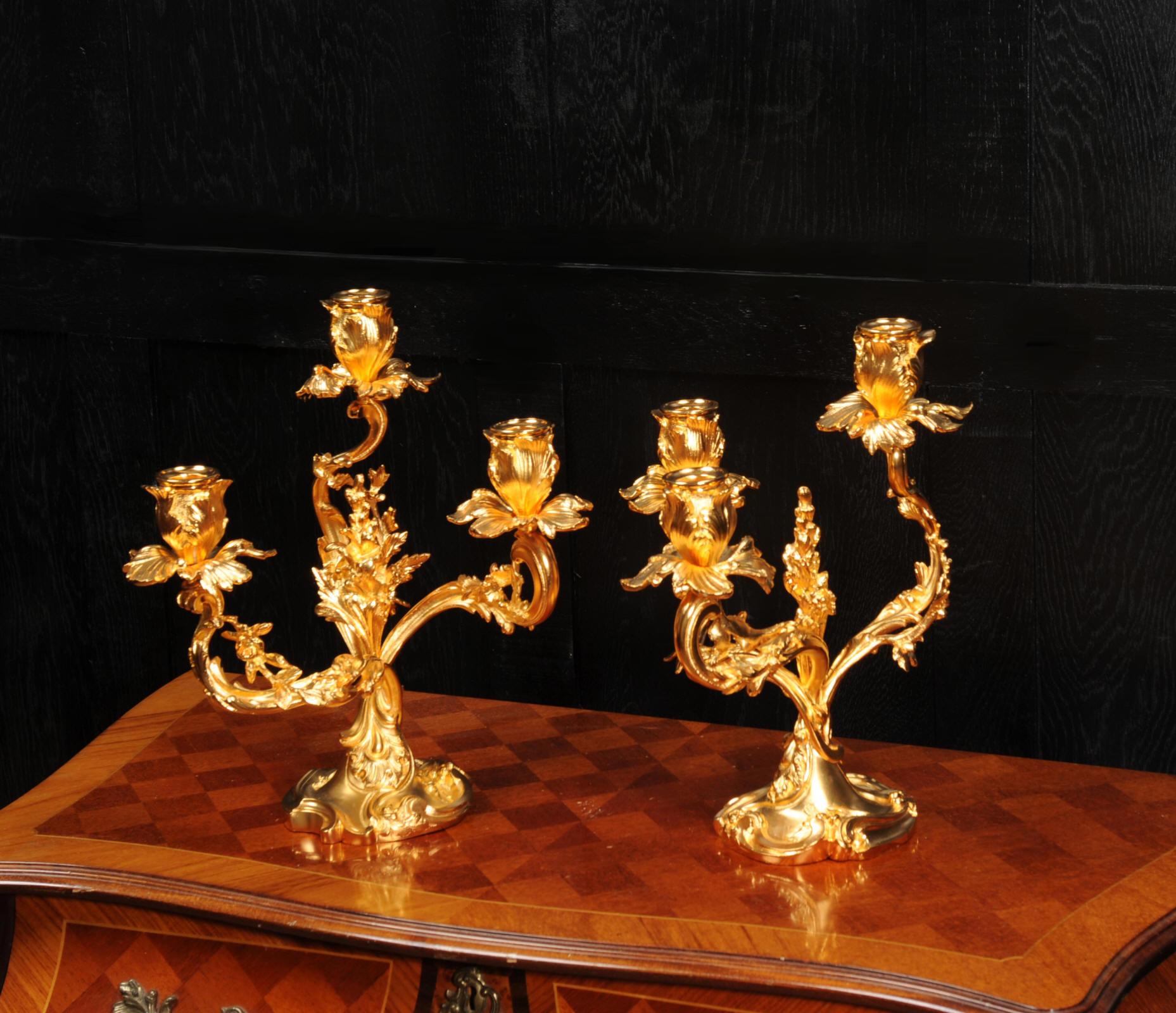 Large Antique French Louis XV Ormolu Rococo Candelabra After Meissonnier 1