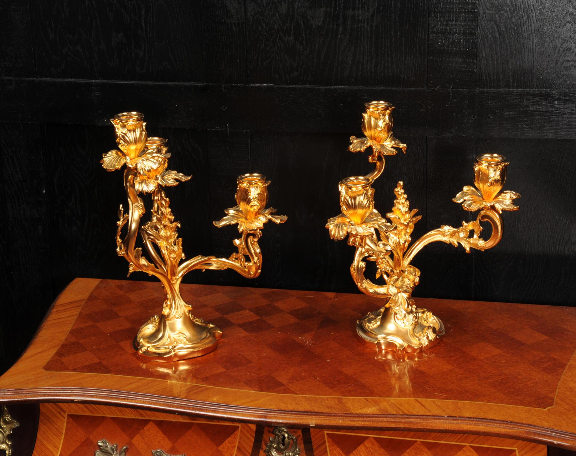 Large Antique French Louis XV Ormolu Rococo Candelabra After Meissonnier 2
