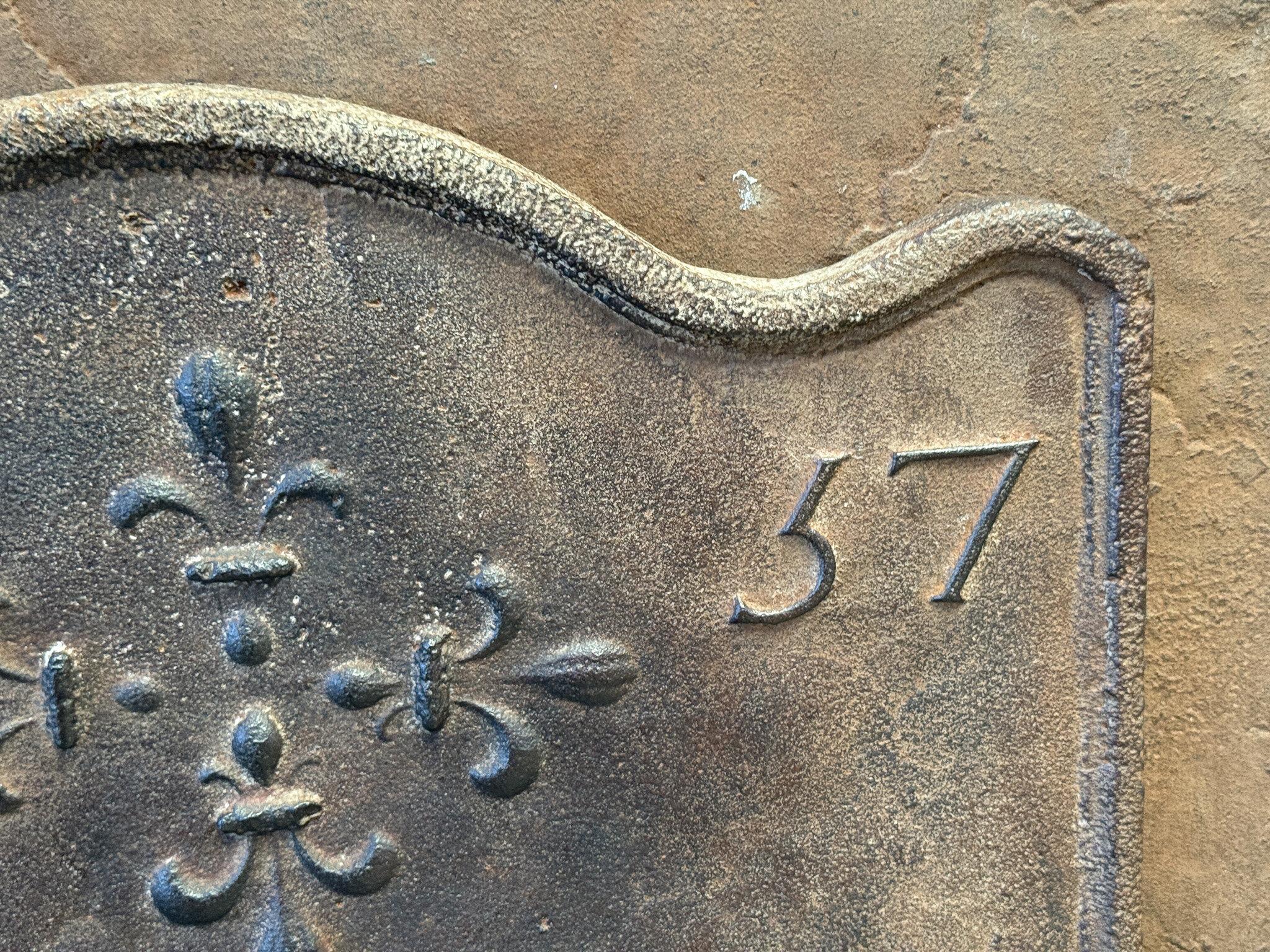Fino al XVIII secolo Antique French Luigi XV Periodo 'Fleur De Lys' Fireback / Backsplash in vendita