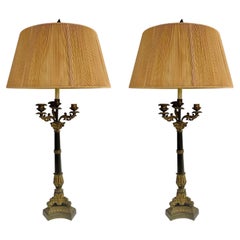 Antique French Louis xv Style Candelbra Converted Table Lamp, a Pair