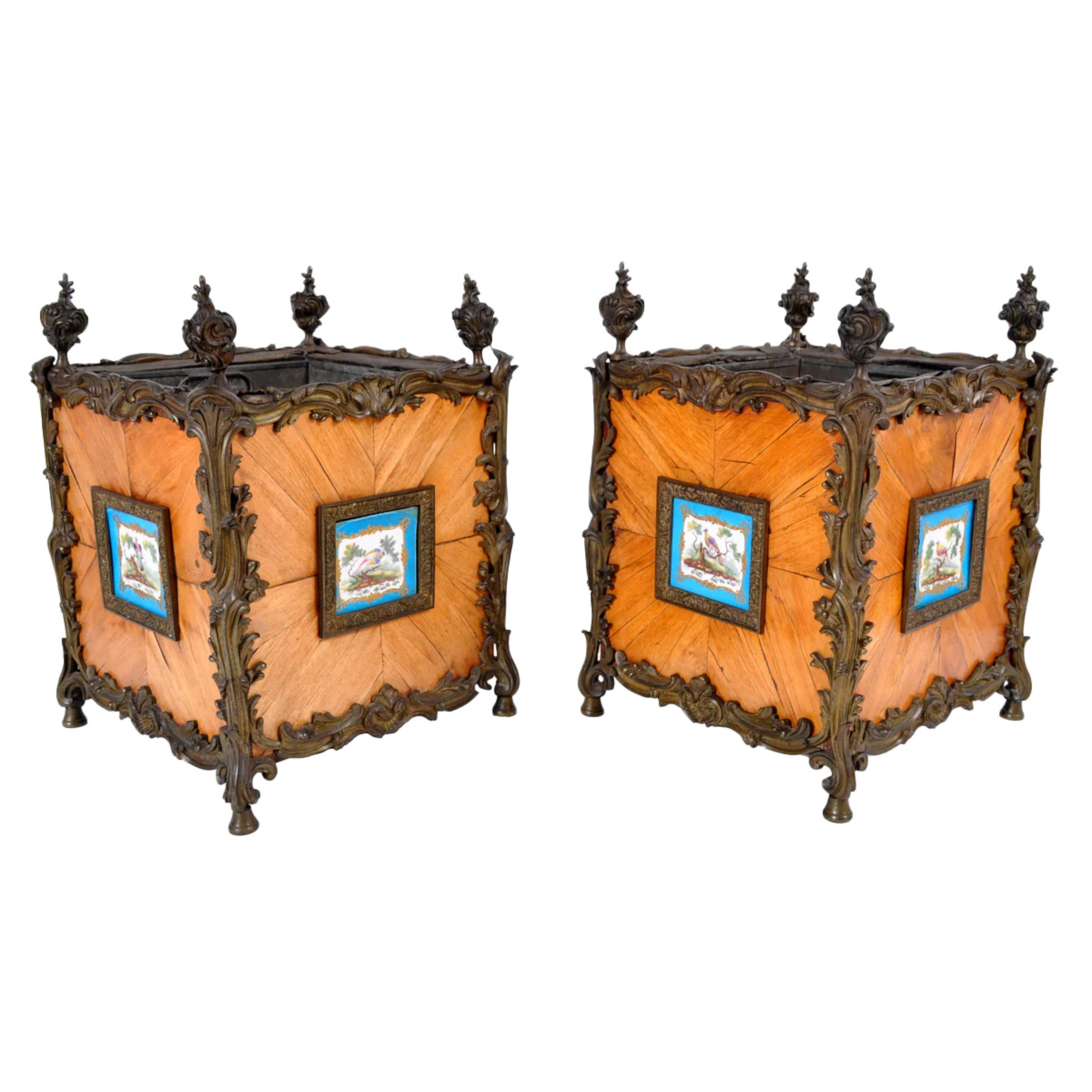 Ormolu Antique French Louis XV Tulipwood and Sèvres Porcelain Jardinières, circa 1870 For Sale