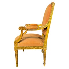 Antique French Louis-XVI-Sesselpaar aus vergoldetem Holz mit Mohairbezug aus einem Salon-Set